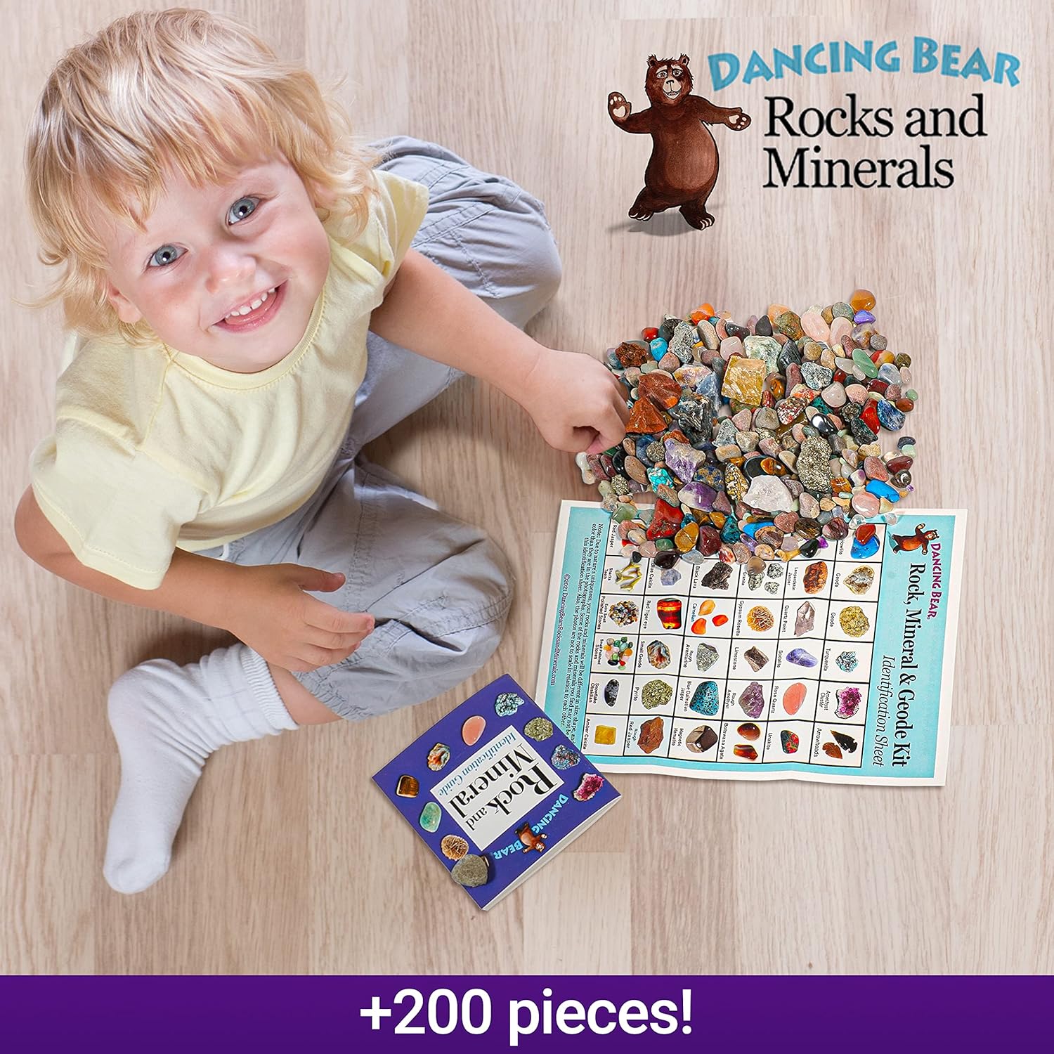 DANCING BEAR Paquete de fósiles de geología – 2 kits STEM kit de actividad de rocas, minerales y geodas y fósiles de dientes de tiburón de 1 libra
