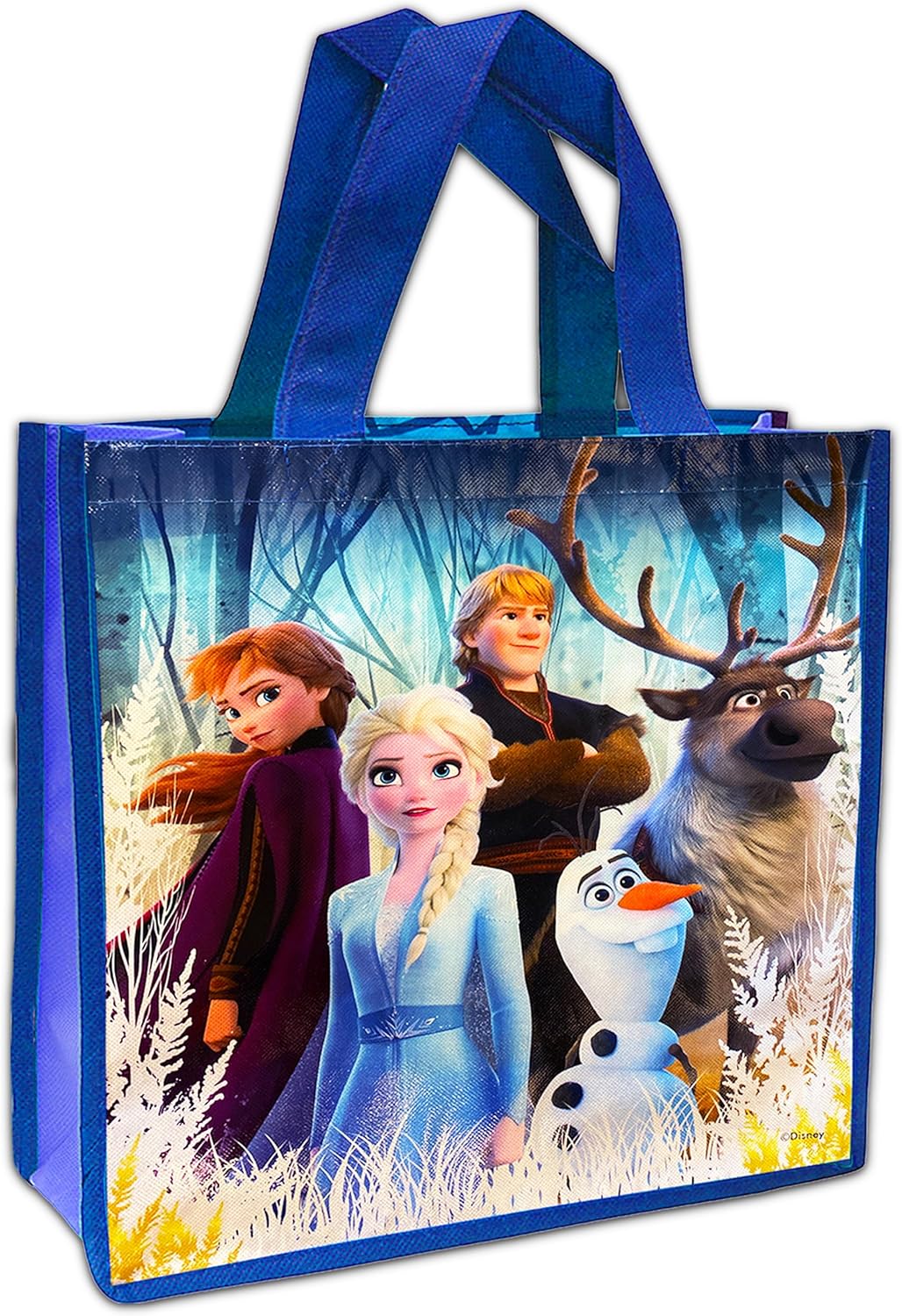 Paquete de 4 bolsas de viaje de Frozen con libros para colorear, juegos, rompecabezas y colgador de puerta de princesa, bolsa de mano de Frozen