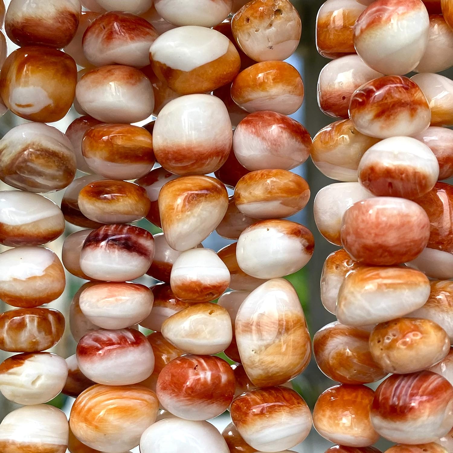 ABCgems – Cuentas de concha de ostra espinosa color naranja y blanco del mar caribeño, fabricación de joyas naturales y orgánicas, ideal para