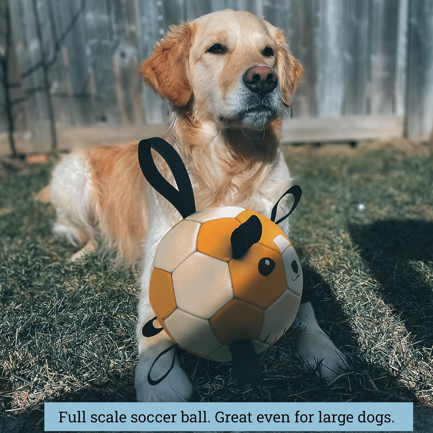 Balón de fútbol grande para perros con pestañas  Pelota de pastoreo de 8 pulgadas para perros  Pelota grande para perros  Pelota de fútbol duradera