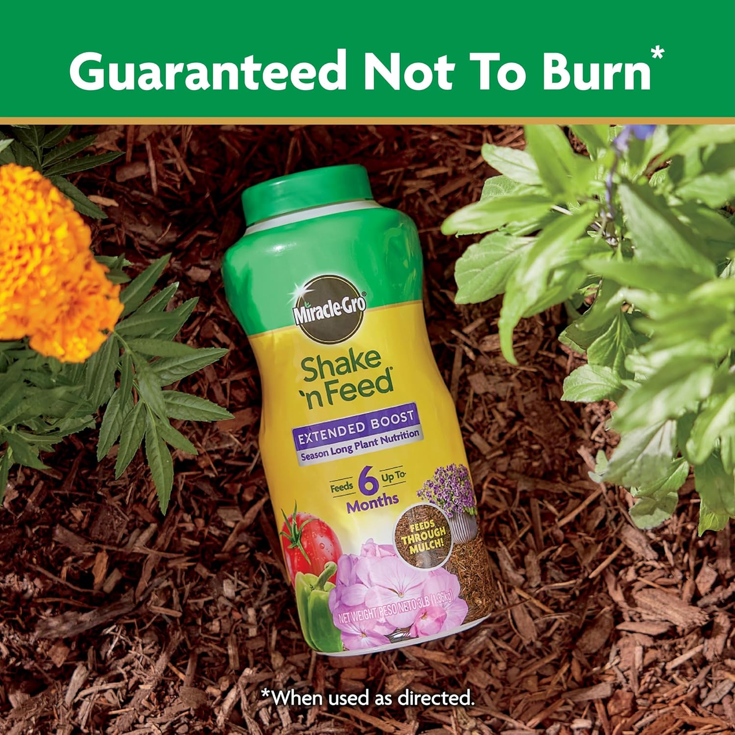 Miracle-Gro Shake ‘n Feed Extended Boost, fertilizante para plantas, alimenta hasta 6 meses, 3 libras.