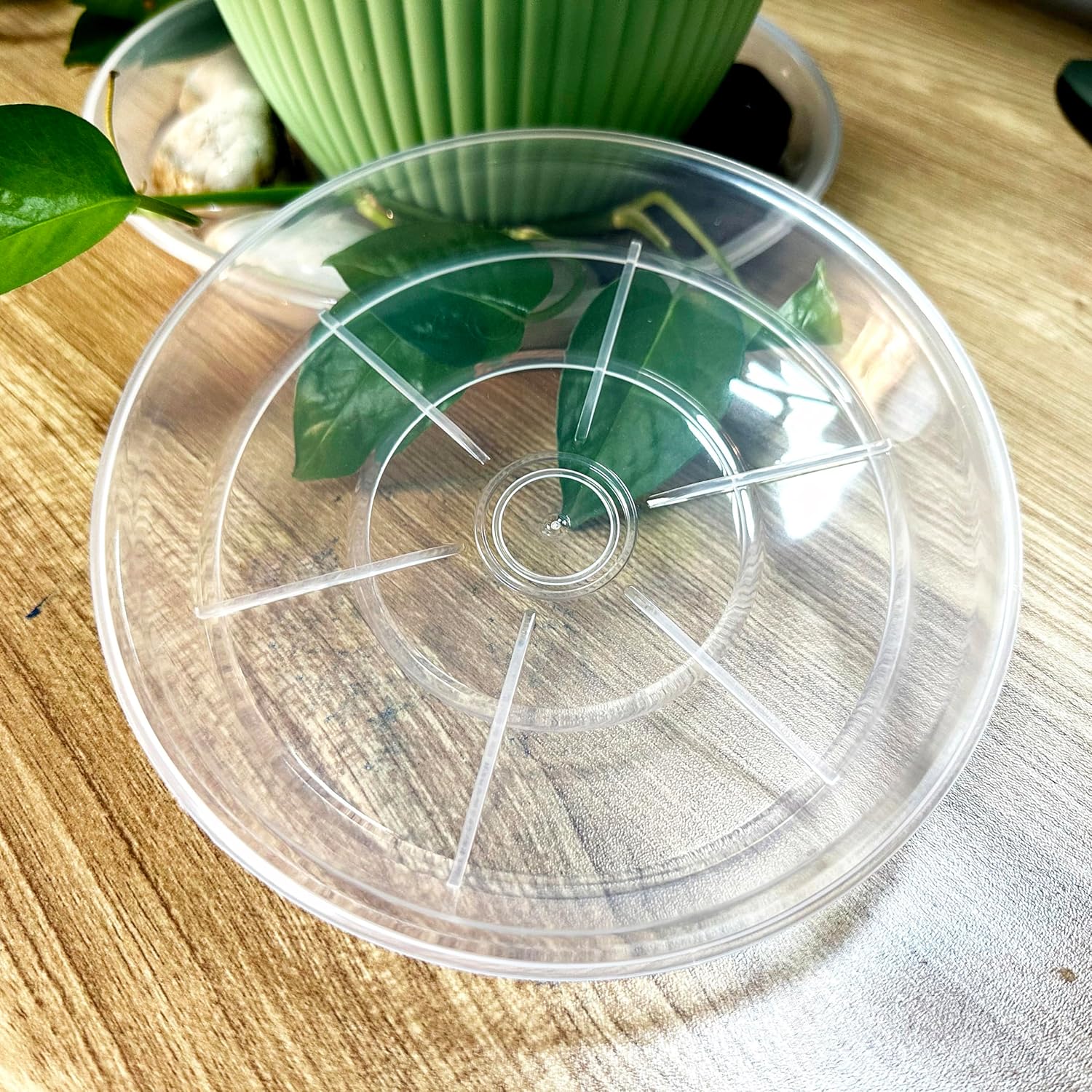 Platillos transparentes para plantas, paquete de 6 bandejas redondas de plástico de 8 pulgadas, resistentes para interiores y exteriores, jardín,