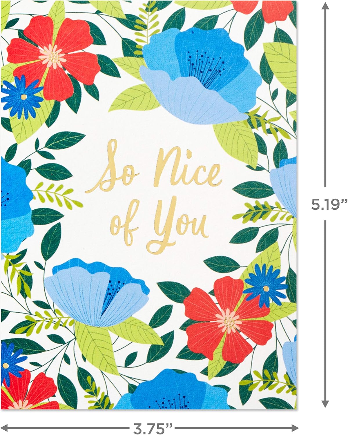 Hallmark Surtido de tarjetas de agradecimiento, flores de arte popular (36 notas de agradecimiento con sobres)