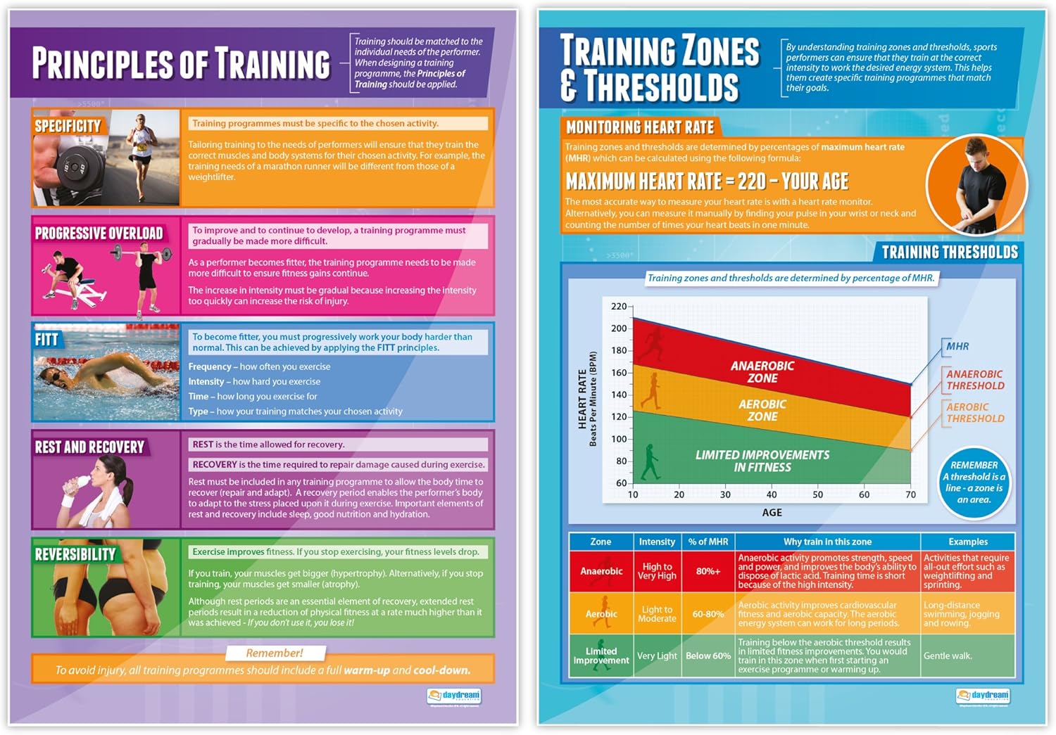 Carteles de entrenamiento físico, juego de 7, pósteres de polietileno, papel brillante que mide 33 x 23.5 pulgadas, gráficos de educación física
