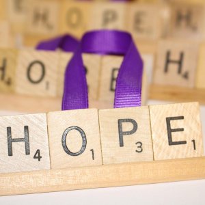 Hiding Place Boutique, Handmade Hope Christmas Ornament, Faith Gift Noel Joy Peace Family Jolly Coworker Present Tree Topper Stocking Stuffer Hiding Place Boutique, Handmade Hope Christmas Ornament, Faith Gift Noel Joy Peace Family Jolly Coworker Present Tree Topper Stocking Stuffer