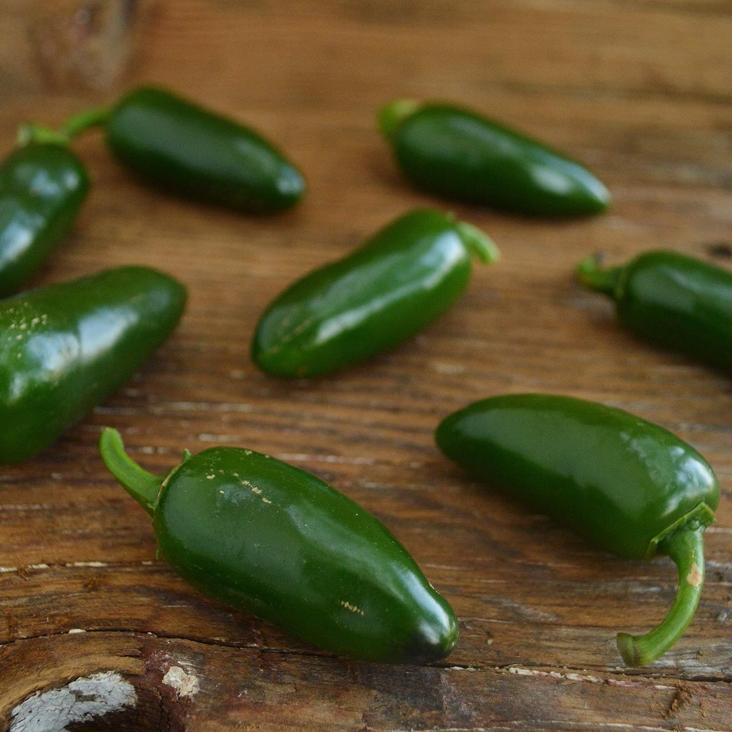 Jalapeño Pimienta chile suave – 25 semillas – Variedad de reliquia y polinizada abierta, jalapeño domado, semillas de chile cultivadas en Estados