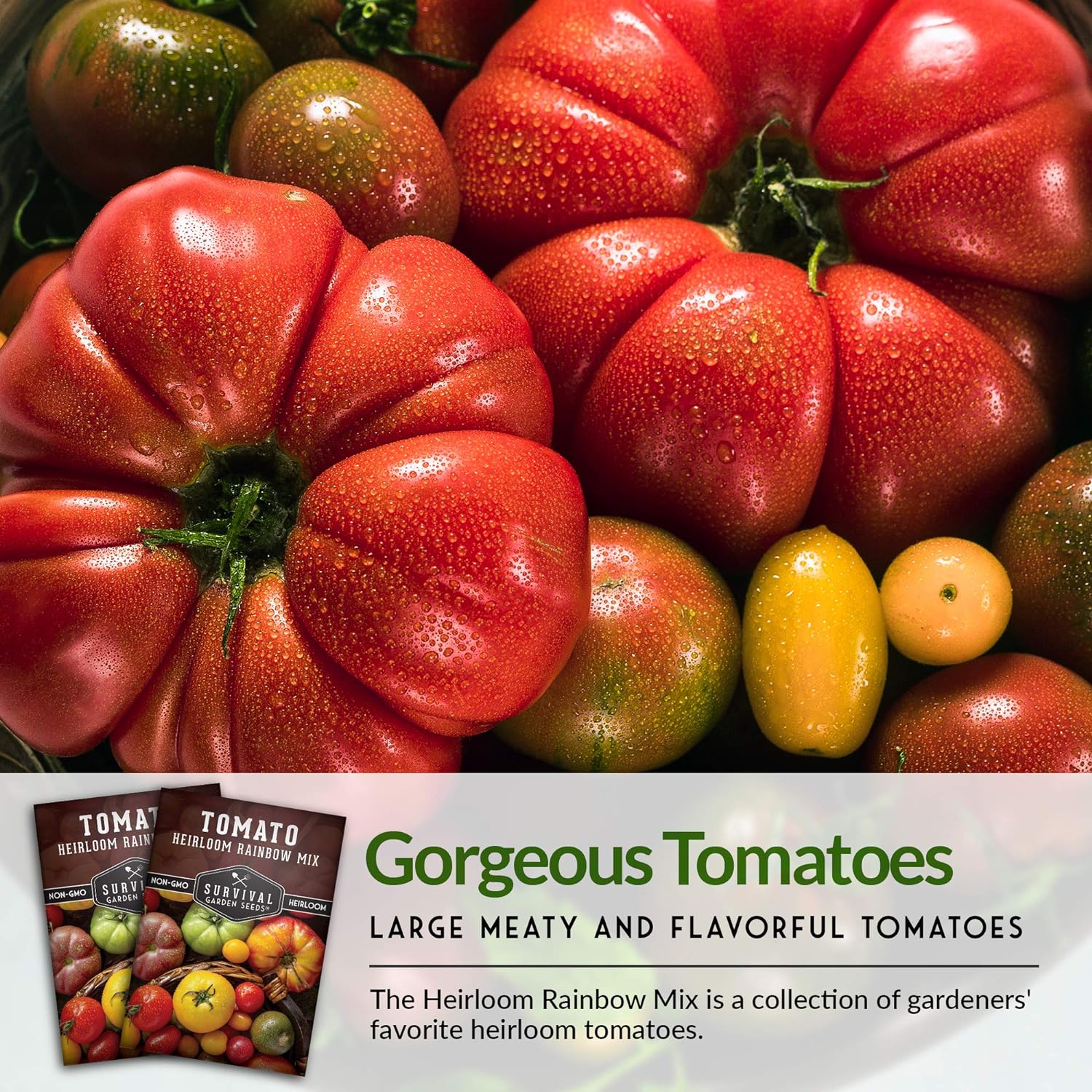 Survival Garden Seeds – Semillas de tomate Heirloom Rainbow Mix para plantar – Paquete con instrucciones para plantar y cultivar en tu huerto casero