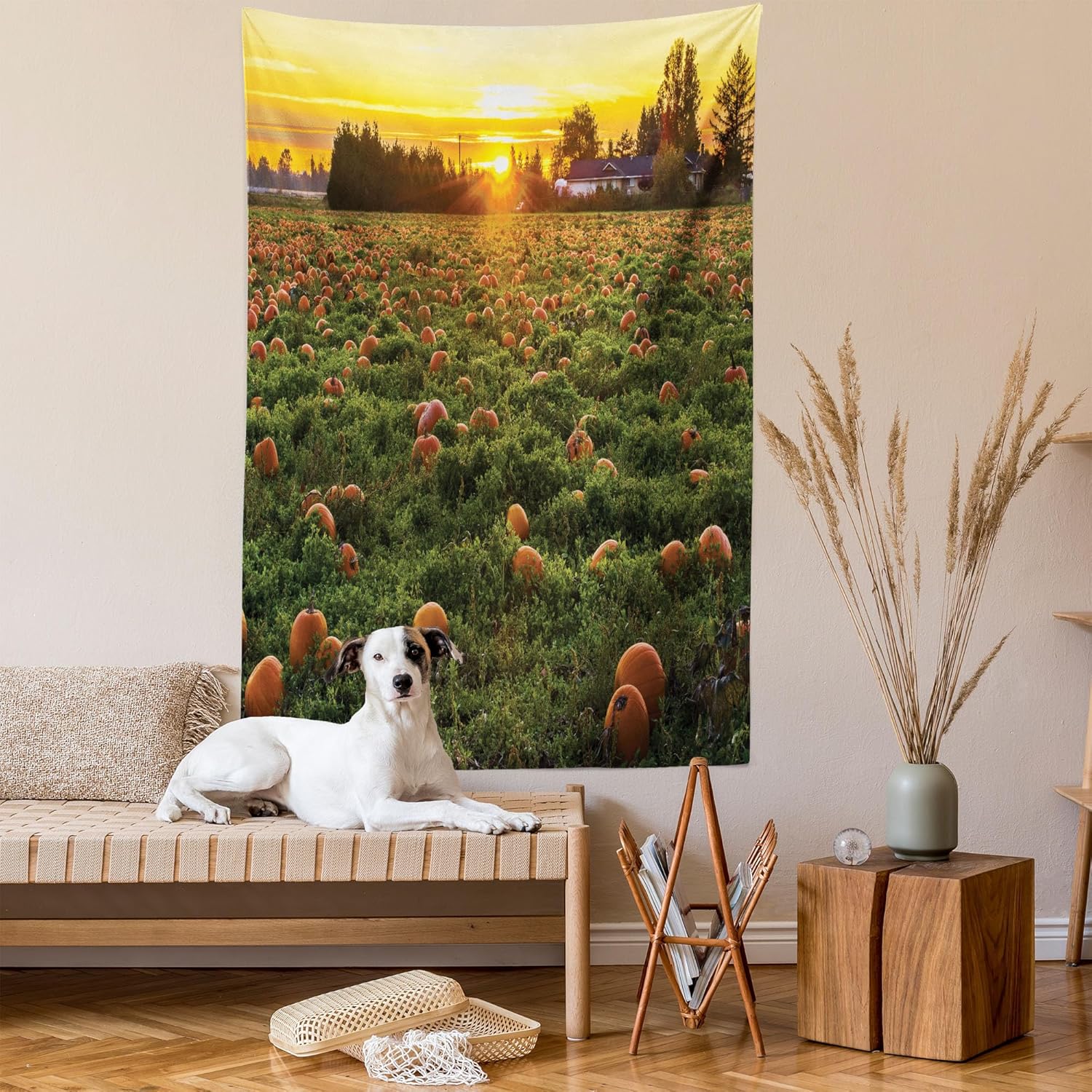 Ambesonne Tapiz de calabaza de otoño, tamaño Queen, foto temática de agricultura de otoño, parche de frutas de temporada al atardecer, colcha