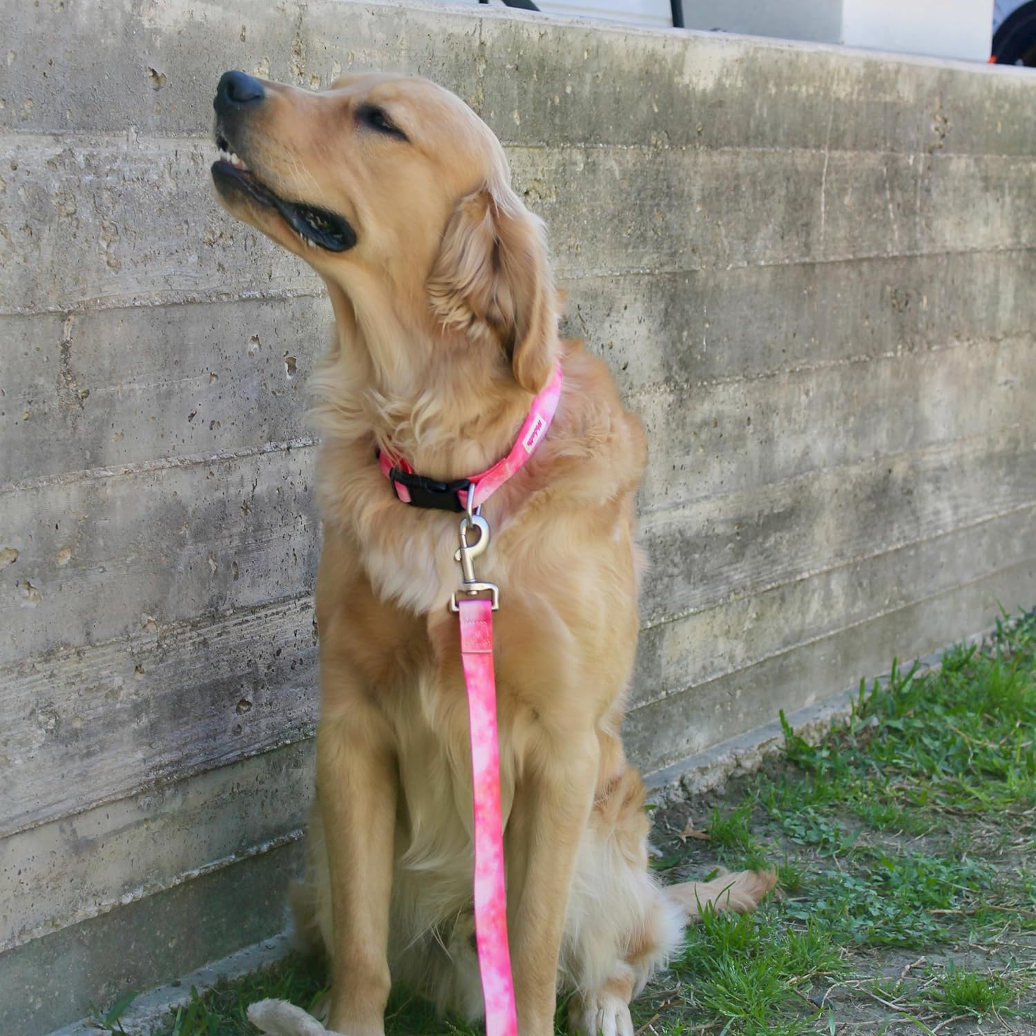 Basic Pretty – Collar para perros pequeños, medianos y grandes, duradero, lavable, de poliéster, tamaño ajustable, color acuarela rosa, mediano (14