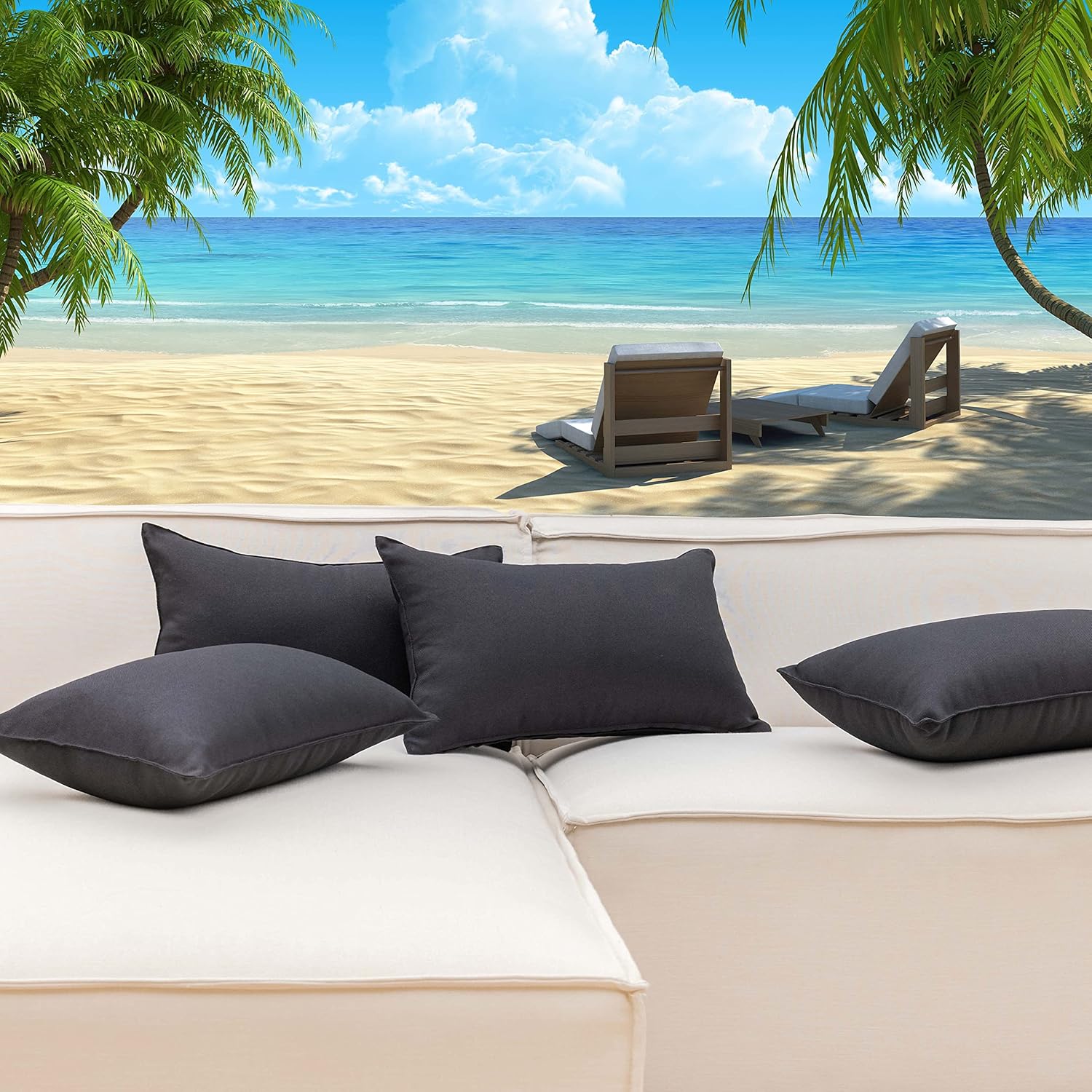Home Brilliant Juego de 4 fundas de almohada de 12 x 20 pulgadas, color negro primaveral, para patio, fundas rústicas para cojines Sunbrella para