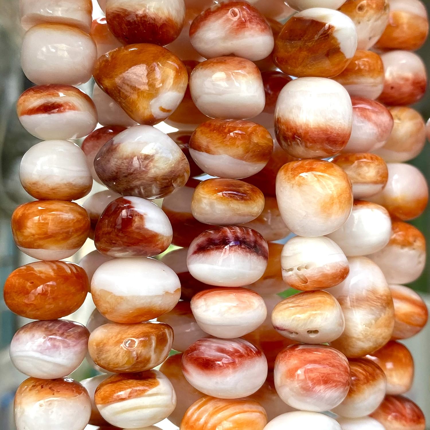 ABCgems – Cuentas de concha de ostra espinosa color naranja y blanco del mar caribeño, fabricación de joyas naturales y orgánicas, ideal para
