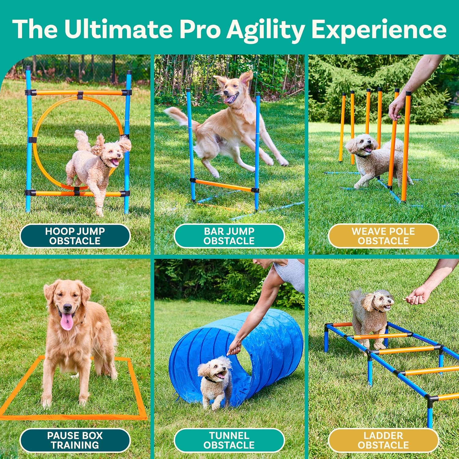 Juego de campo de agilidad para perros, equipo de agilidad para perros, patio trasero de carrera de obstáculos para perros, equipo de entrenamiento
