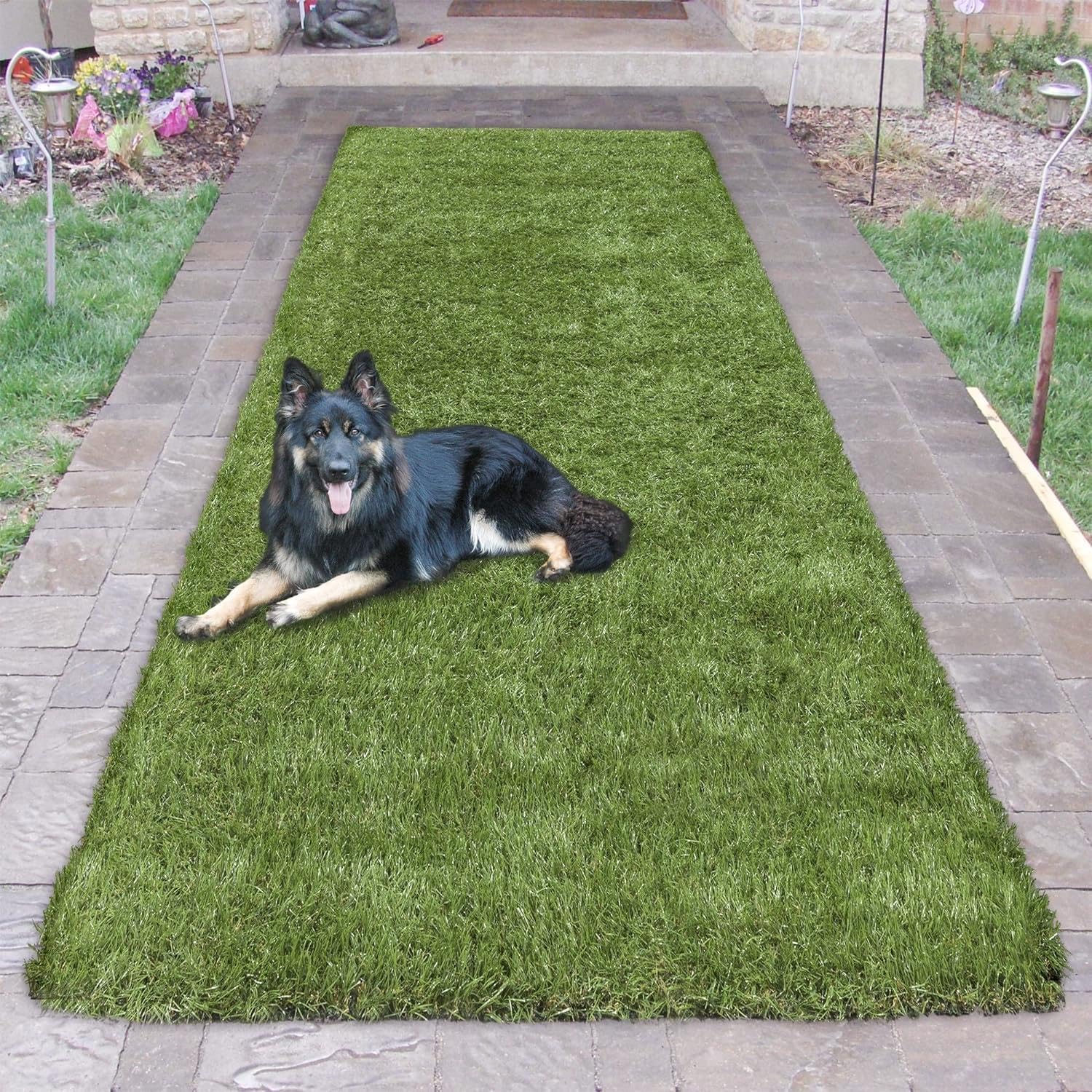 Ottomanson Alfombra Evergreen Turf Collection R550-3X10, alfombra de pasillo, 2 pies 7 pulgadas x 10 pies, pelo alto, color verde hierba