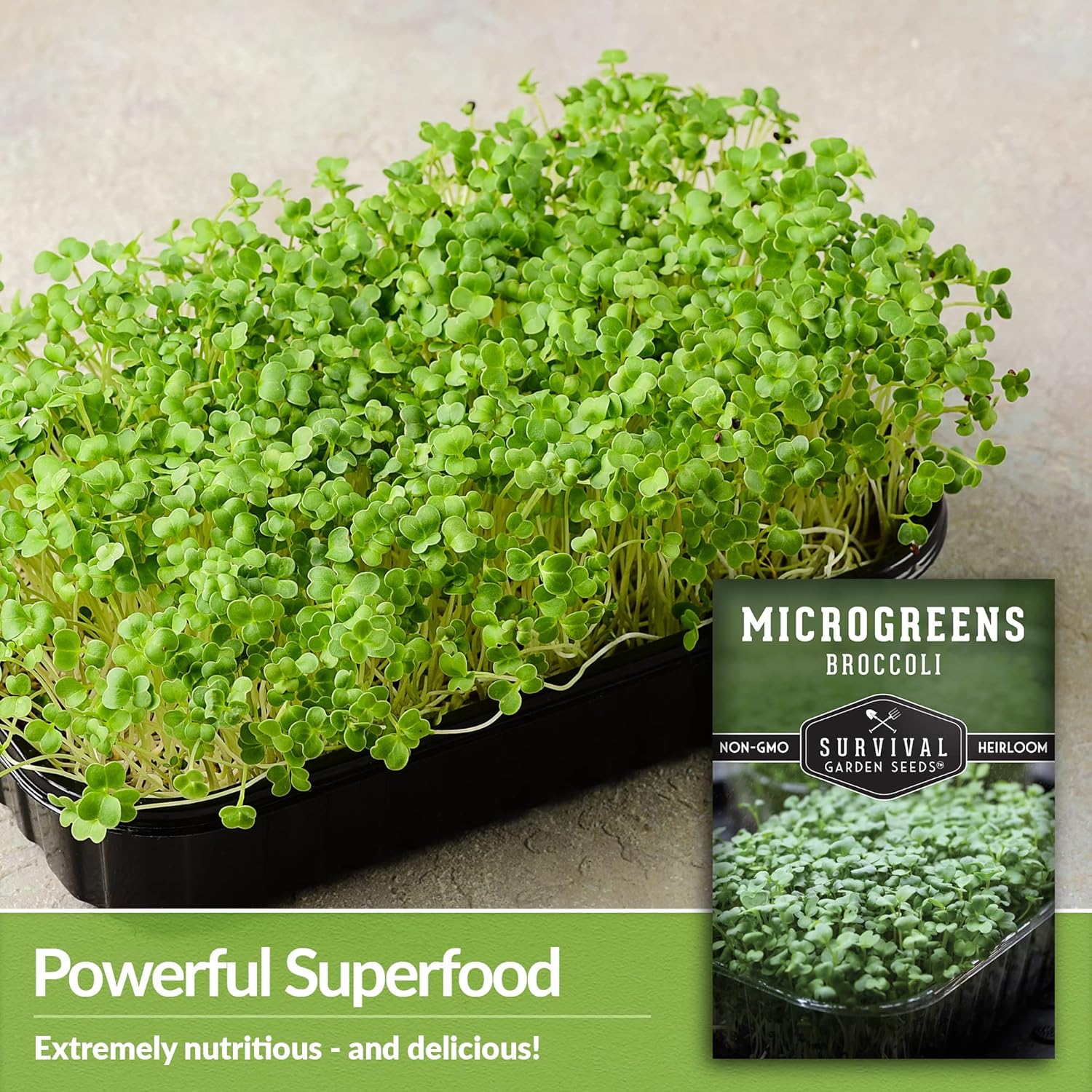 5 paquetes de semillas de microgreens de brócoli para plantar y cultivar  Planta plantas de microvegetales de hoja verde en interiores  Cultiva tu