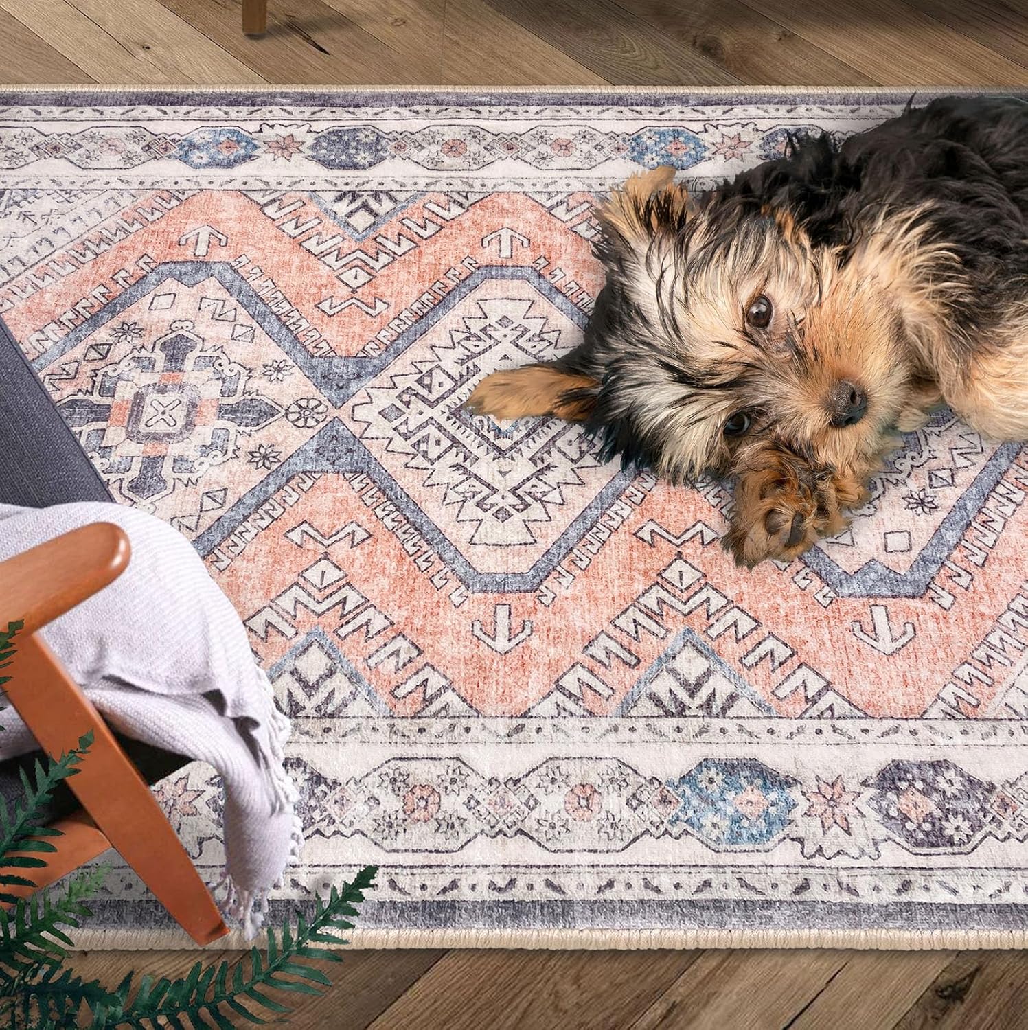KUTA Alfombra oriental de 5 x 7 pies, color durazno, lavable para sala de estar, ultra suave, antideslizante, alfombra de dormitorio, alfombra de