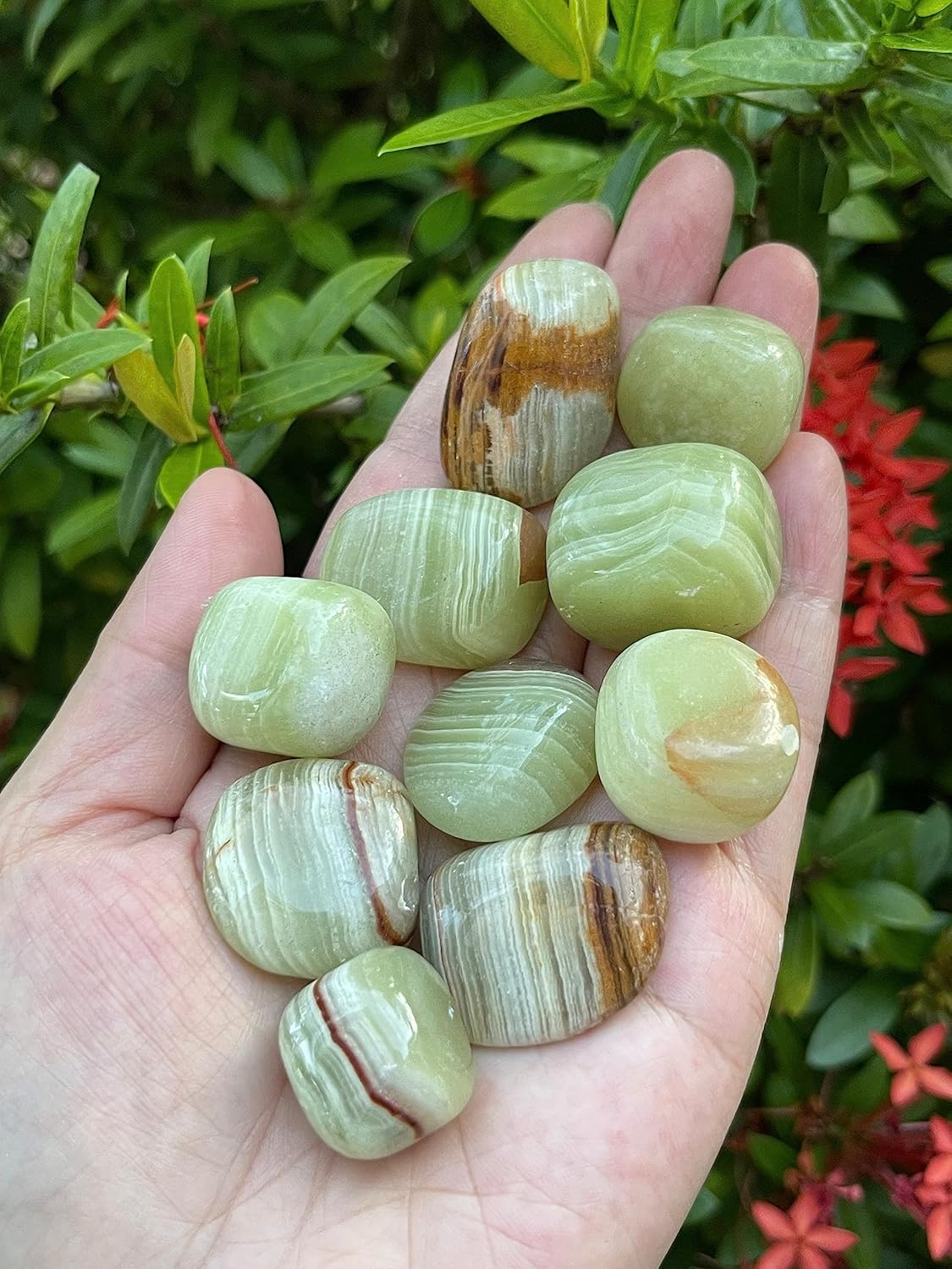 GAF TREASURES Piedras pulidas de ónix verde de 12 libra, piedra preciosa de ónix verde pulido, cristales curativos de ónix verde (ónix verde, 0.5