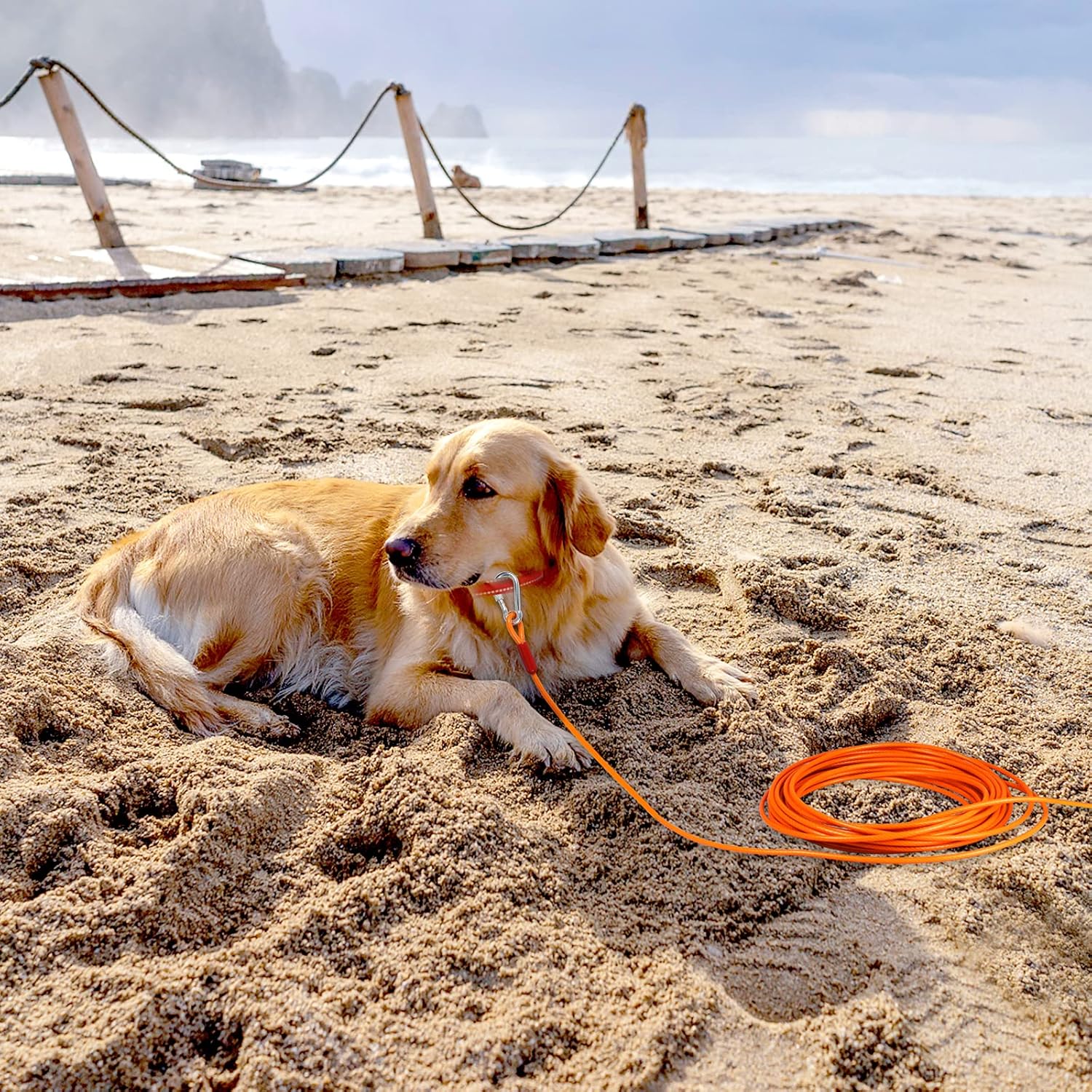 LUFFWELL Cable de amarre para perros, tapete extragrueso para acampar en el patio, correa de correr para perros de 3050 pies con resorte, ganchos