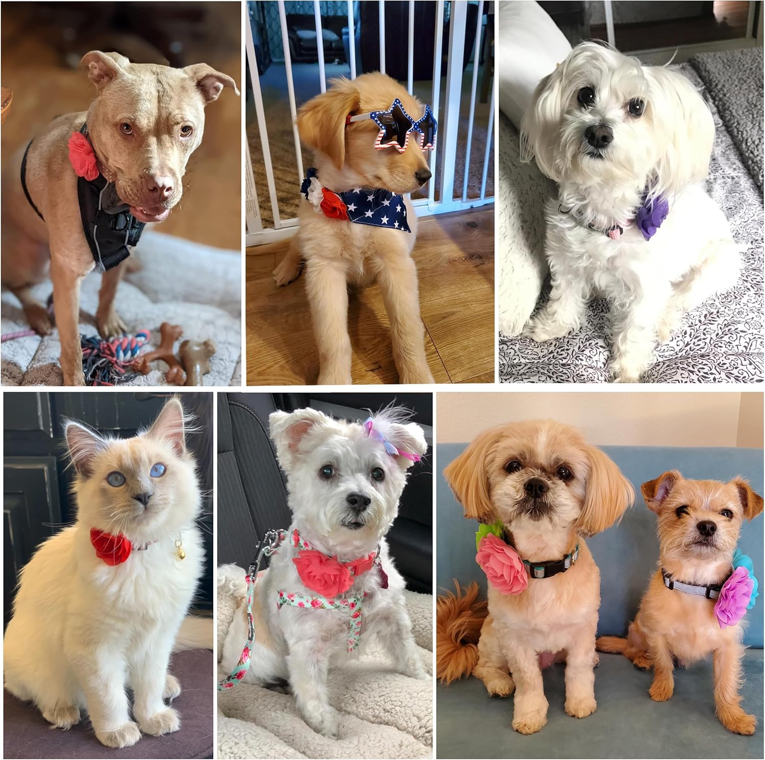 POSAPET 30 piezas de collar de perro, accesorios de flores, collar de flores para mascotas, dijes de flores para mascotas, collares de flores para