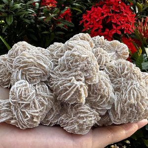 Gran racimo de rosas del desierto, piedras naturales de selenita de rosa del desierto, rosa de yeso del desierto, cristal de rosa de selenita crudo, Gran racimo de rosas del desierto, piedras naturales de selenita de rosa del desierto, rosa de yeso del desierto, cristal de rosa de selenita crudo,