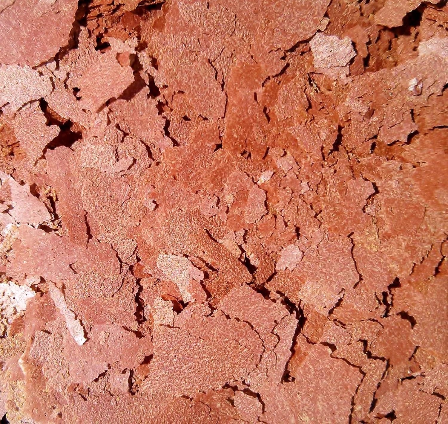 AF BloodWorm Flakes – Alimentos para peces tropicales AF a granel. 14 lb