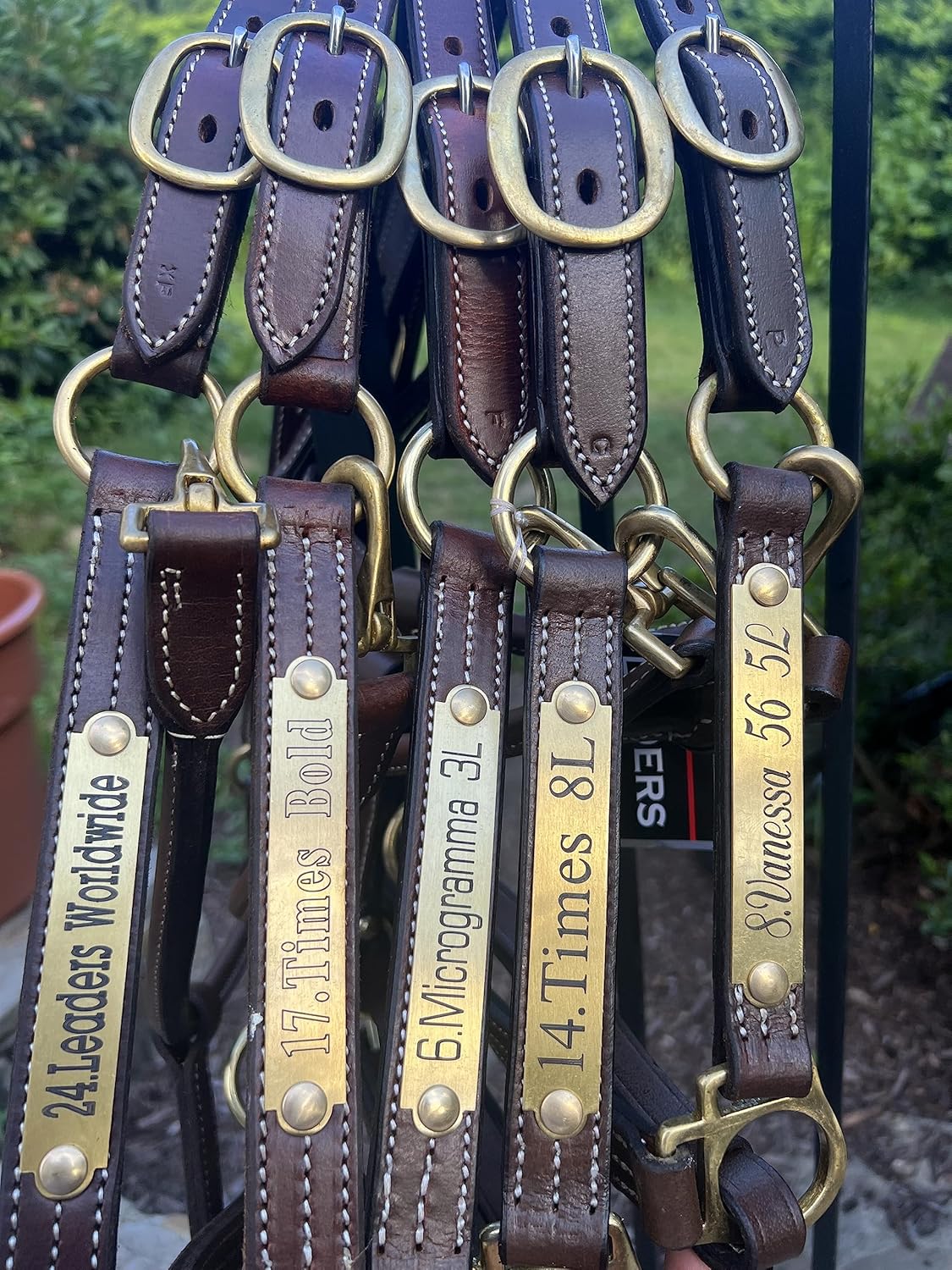 Leaders – Cabestro de cuero para caballos con placa de nombre grabada personalizada para caballo