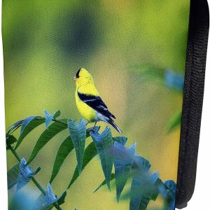 3dRose Yellow and Black bird sitting on tren limb – Can Cooler Bottle Wrap (cc_351708_1) 3dRose Yellow and Black bird sitting on tren limb – Can Cooler Bottle Wrap (cc_351708_1)
