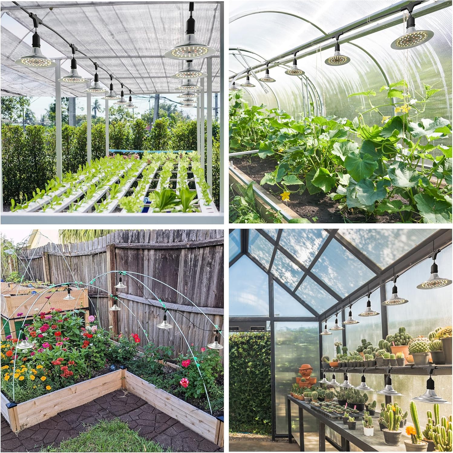 Luces de cultivo al aire libre para invernadero, luces de cultivo de invernadero de espectro completo para plantas al aire libre, cadena impermeable