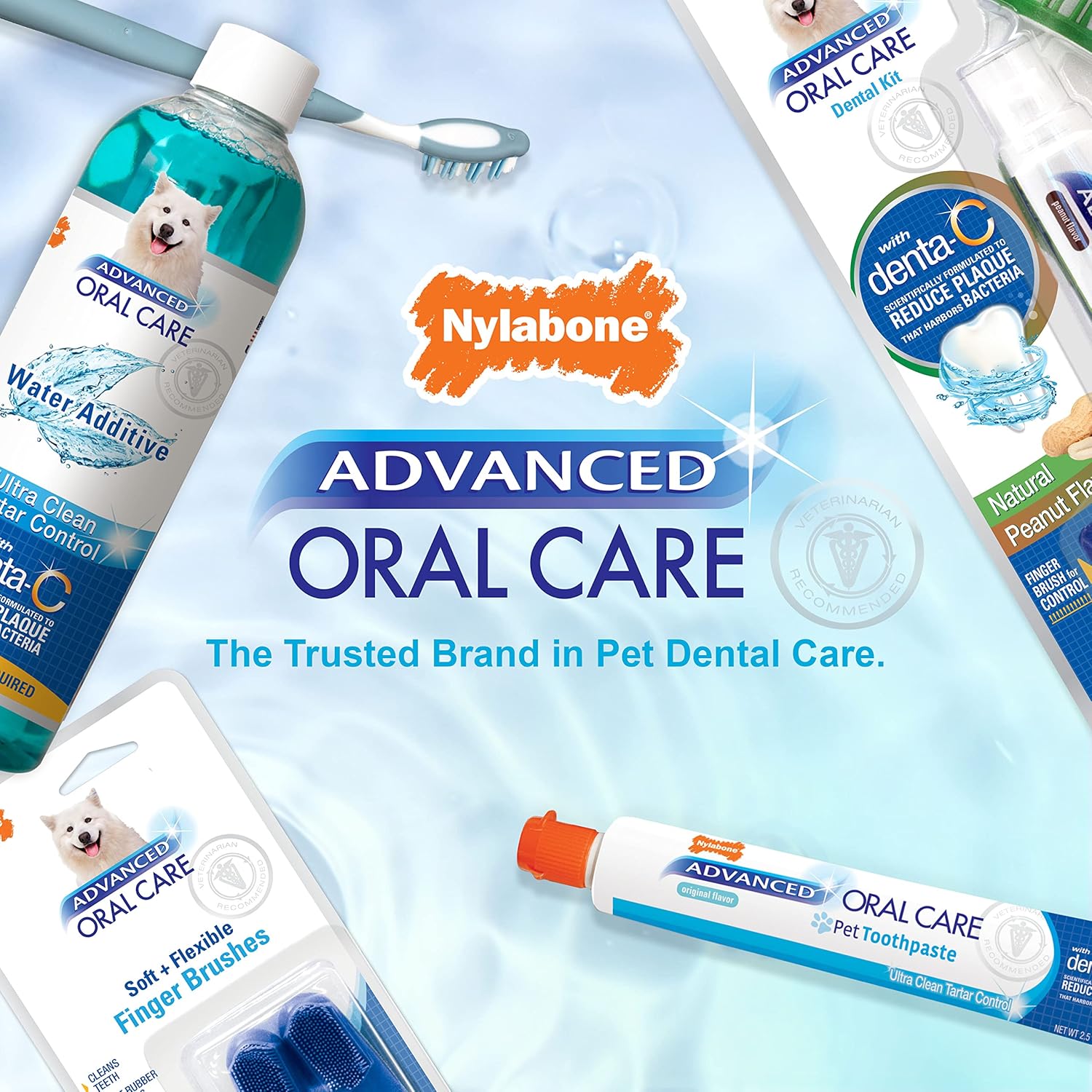 Nylabone Advanced Oral Care – Removedor de sarro para perros en espuma, ambientador de aliento y espuma de limpieza de dientes (4 onzas)