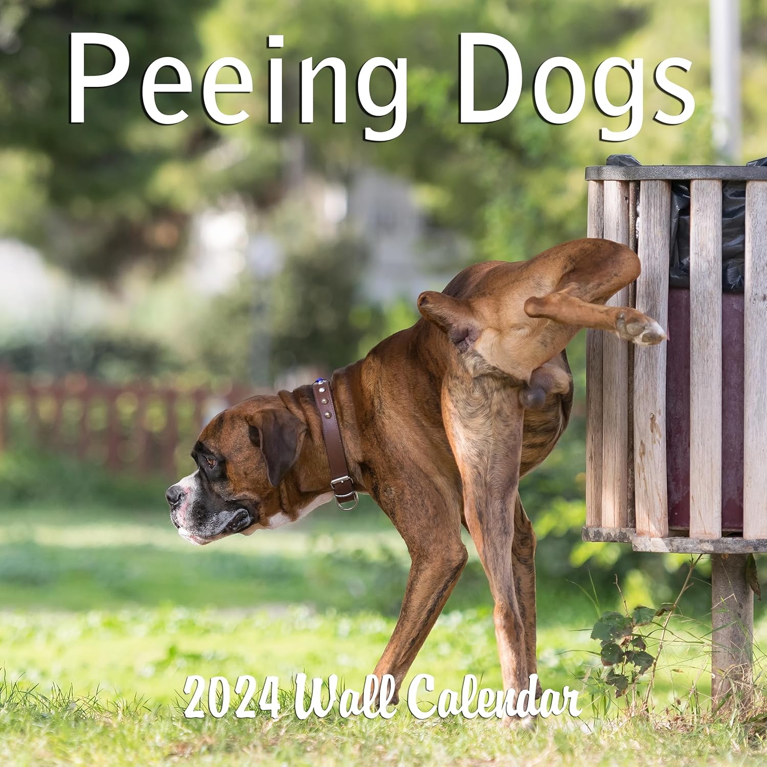 Calendario mensual de pared 2024 Funny Dogs Marking Territory  12 x 24 pulgadas  Calendario de perro de regalo de broma 2024