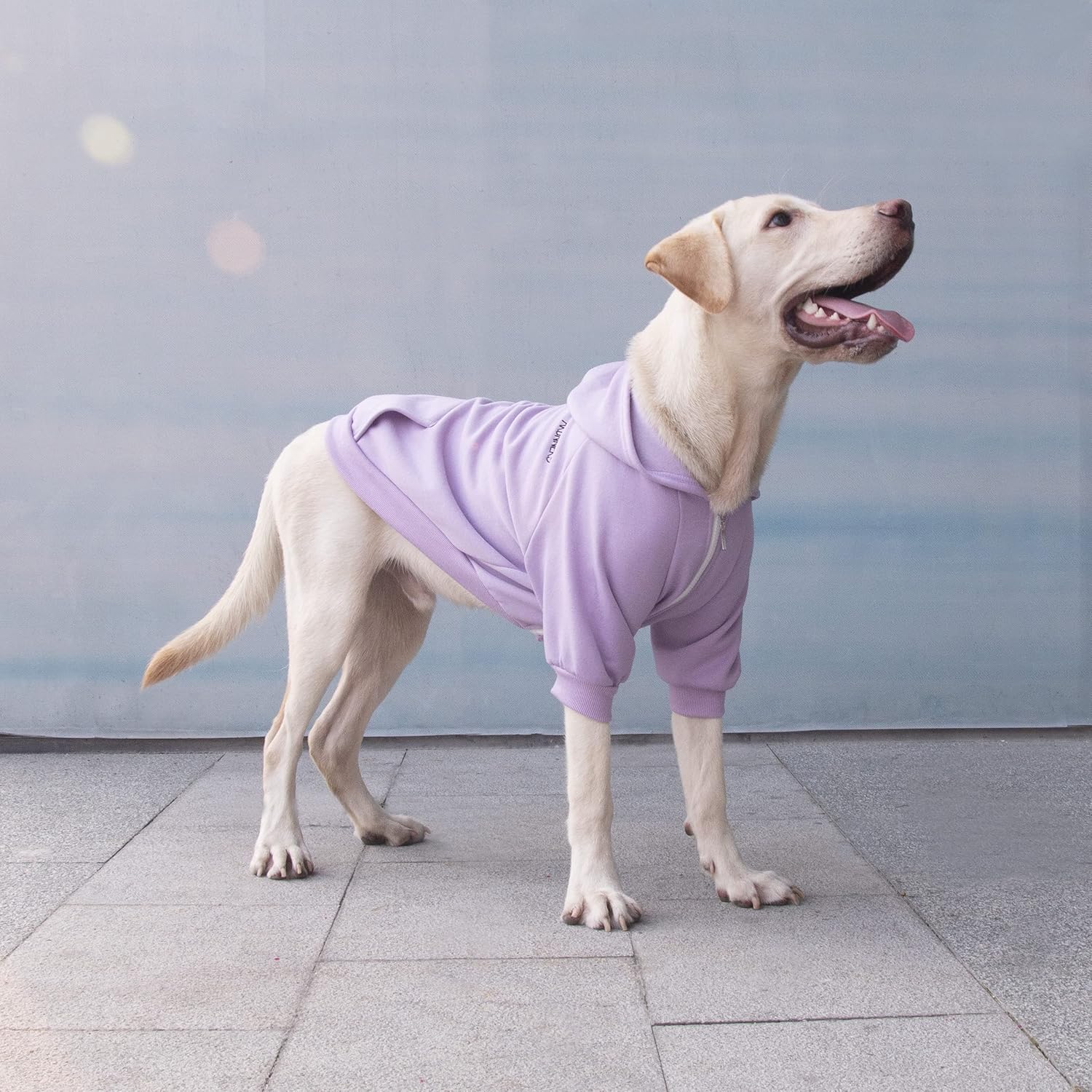 ARUNNERS Ropa extra grande para perros con capucha y cremallera para perros grandes, Labrador Border Collie, morado, 4XL