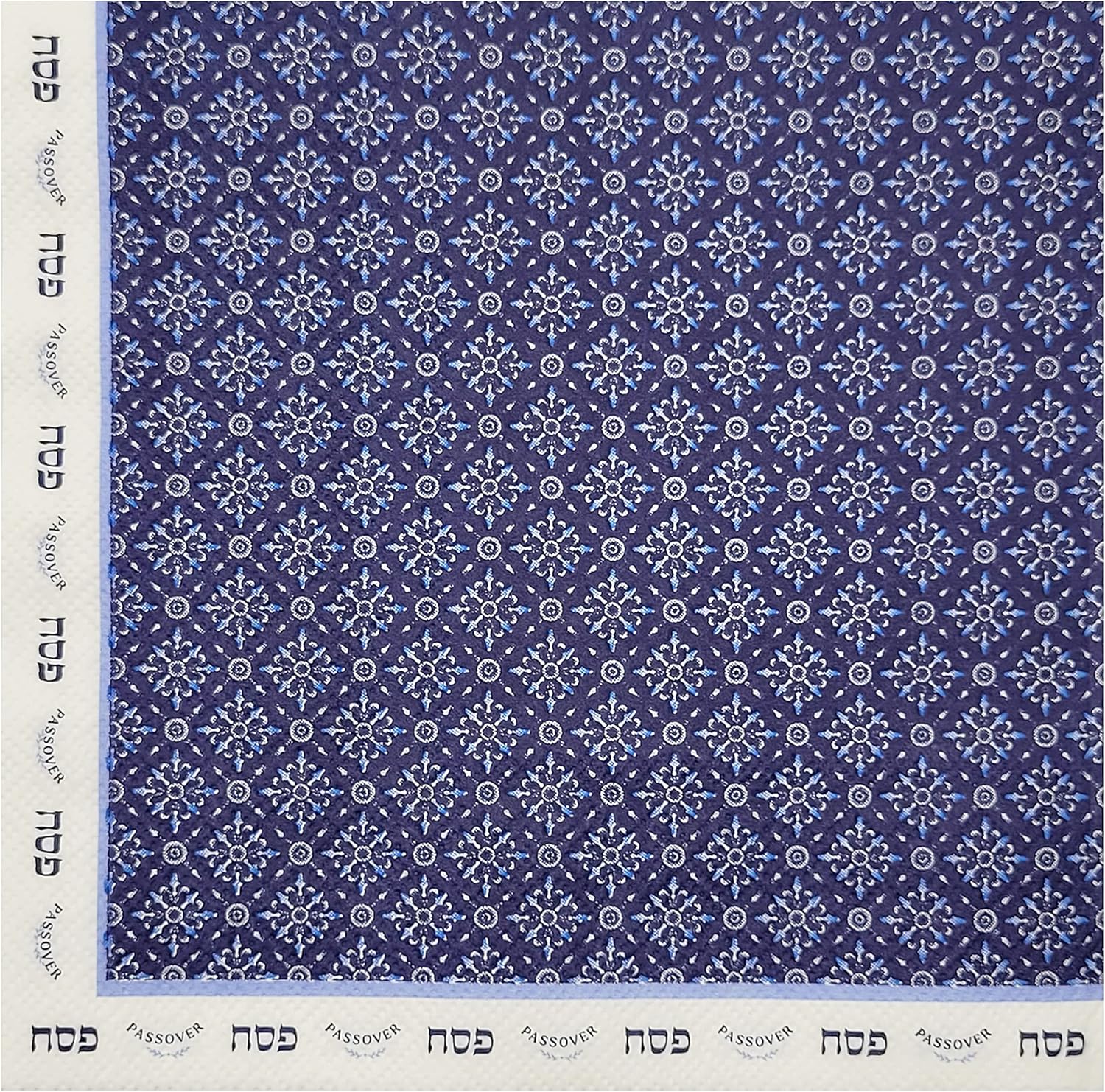 The Dreidel Company Juego de fiesta de artículos de papel con diseño de platos de seder de Pascua (Seder Plate Servilletas, 24 unidades)