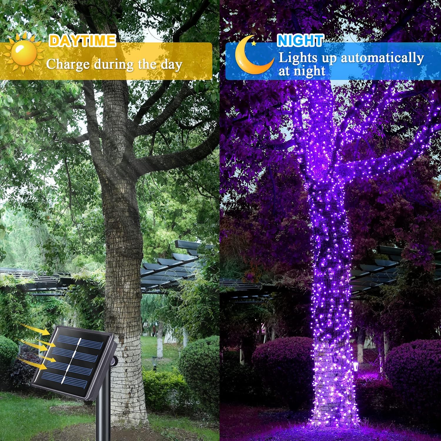 JMEXSUSS Paquete de 2 luces solares de Navidad moradas, 400 luces LED solares de 151 pies, impermeables, 8 modos, luces de Navidad moradas para