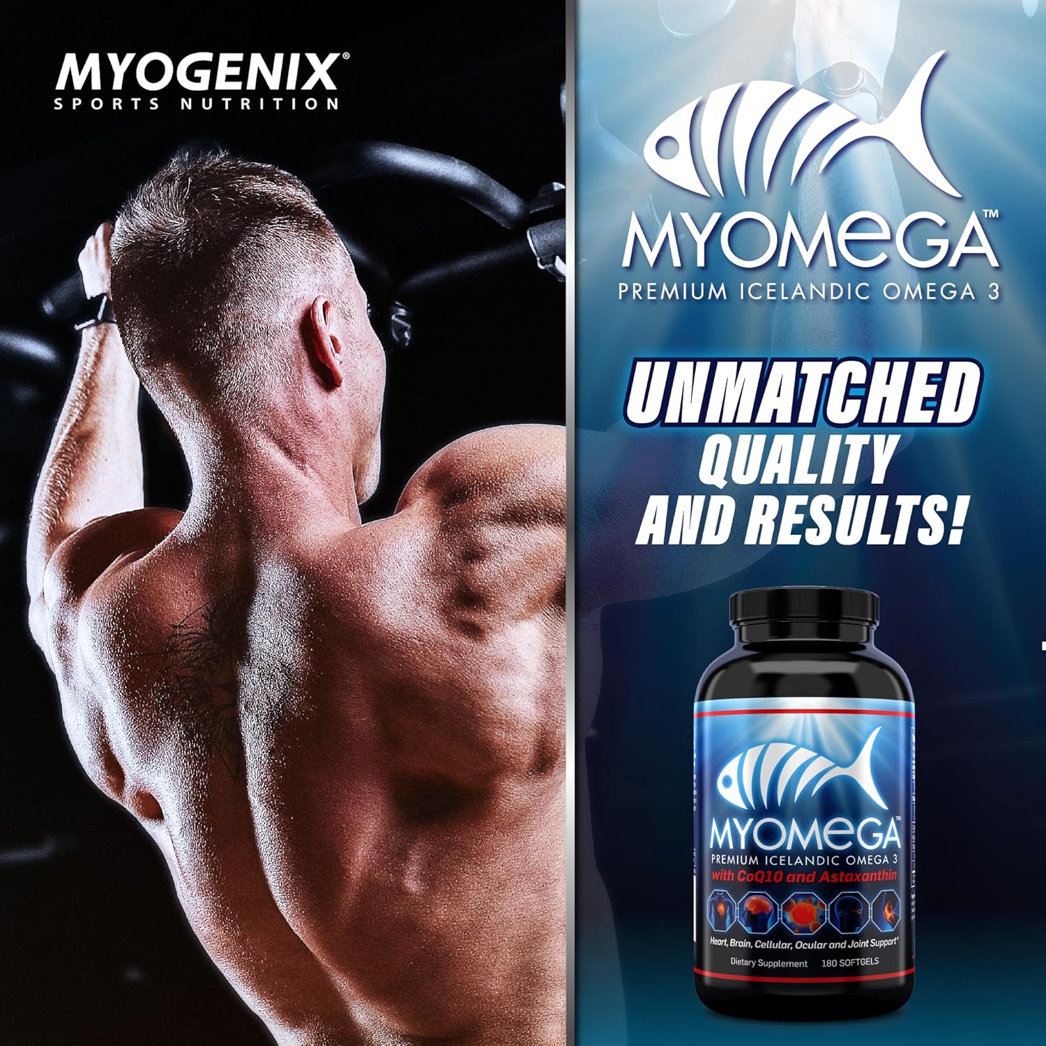 Suplemento de ácidos grasos Omega 3  Myogenix Myomega Premium islandés Omega 3 Suplemento para apoyar la salud del corazón, cerebro y