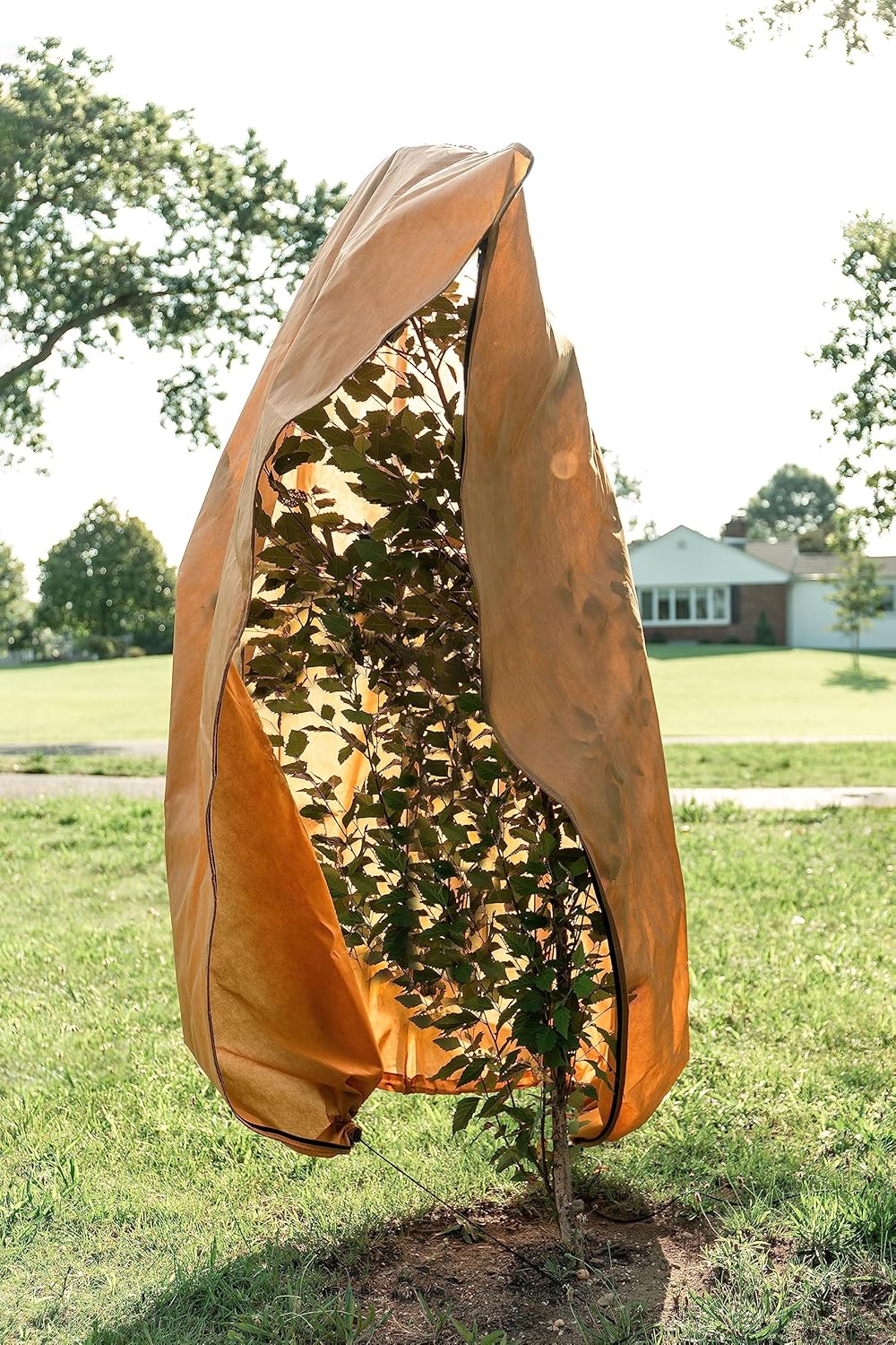 CHARGUY Cubiertas para plantas, protección contra congelación y heladas, mantas de invierno para plantas al aire libre con cordón y cremallera,