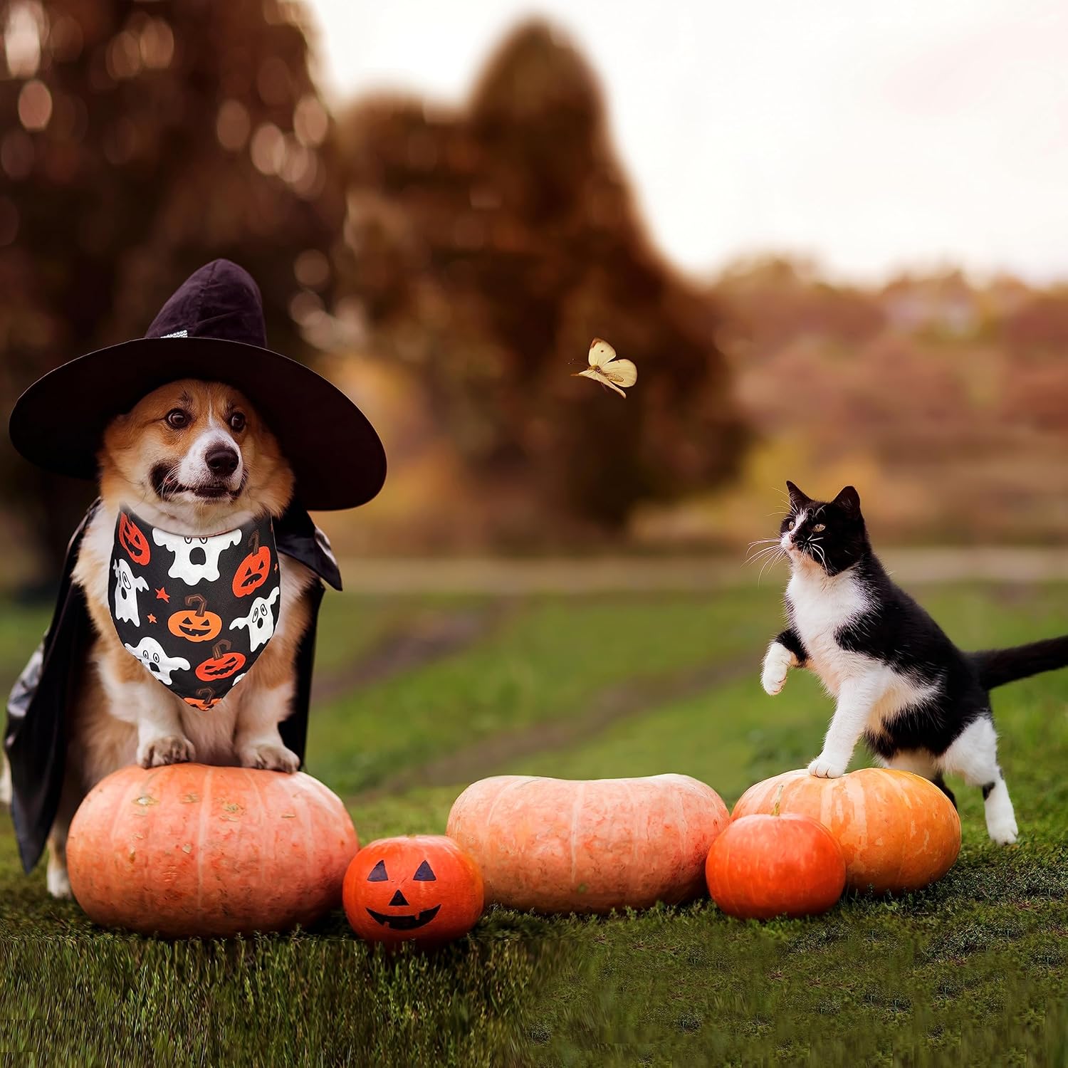 Bandana de Halloween para perro y gato, babero navideño y patrón de maíz de caramelo para cachorros grandes, medianos y pequeños mascotas