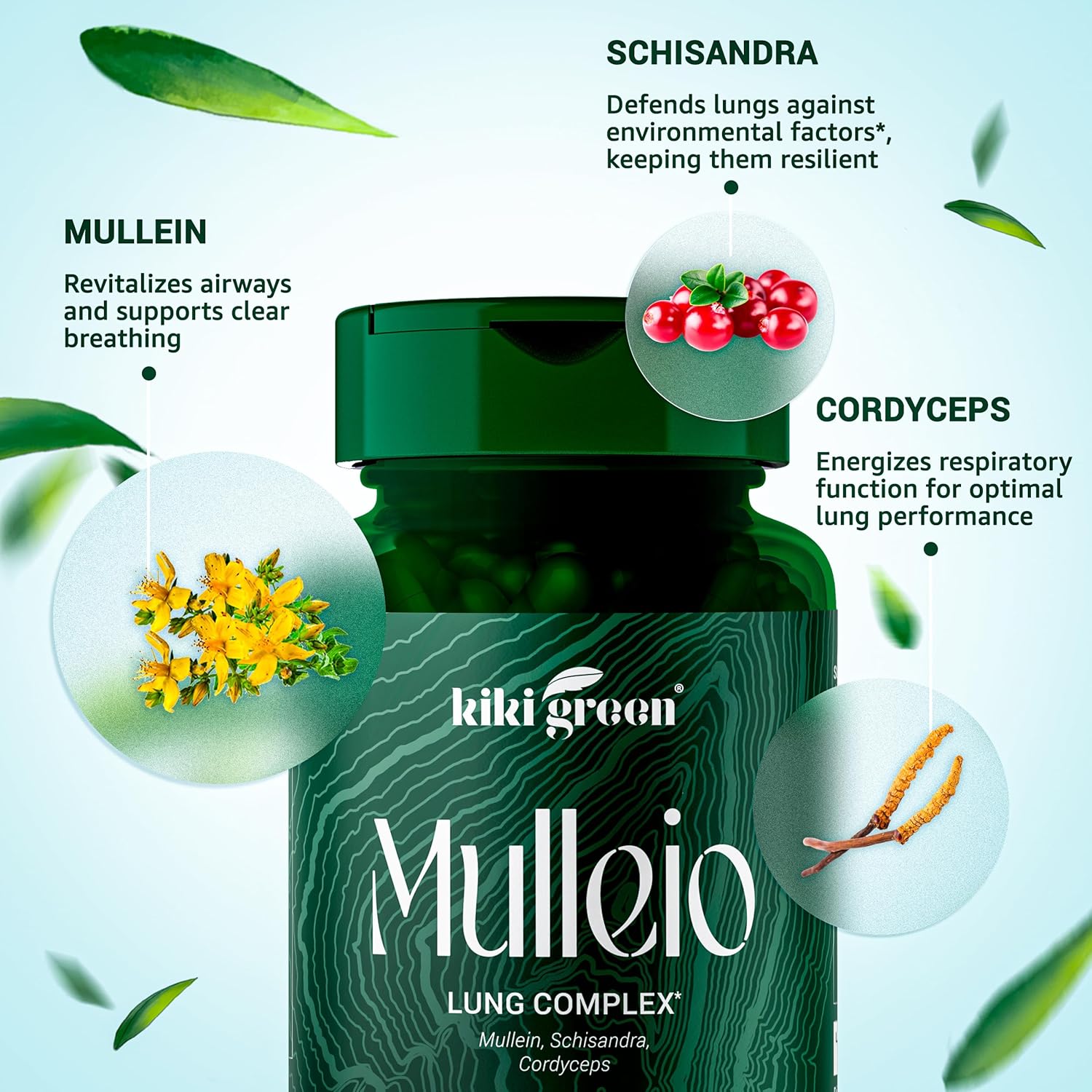 MULLEIO Cápsulas de salud pulmonar suplemento herbario para limpieza pulmonar, mejor función pulmonar y apoyo respiratorio – Mullein, Cordyceps,