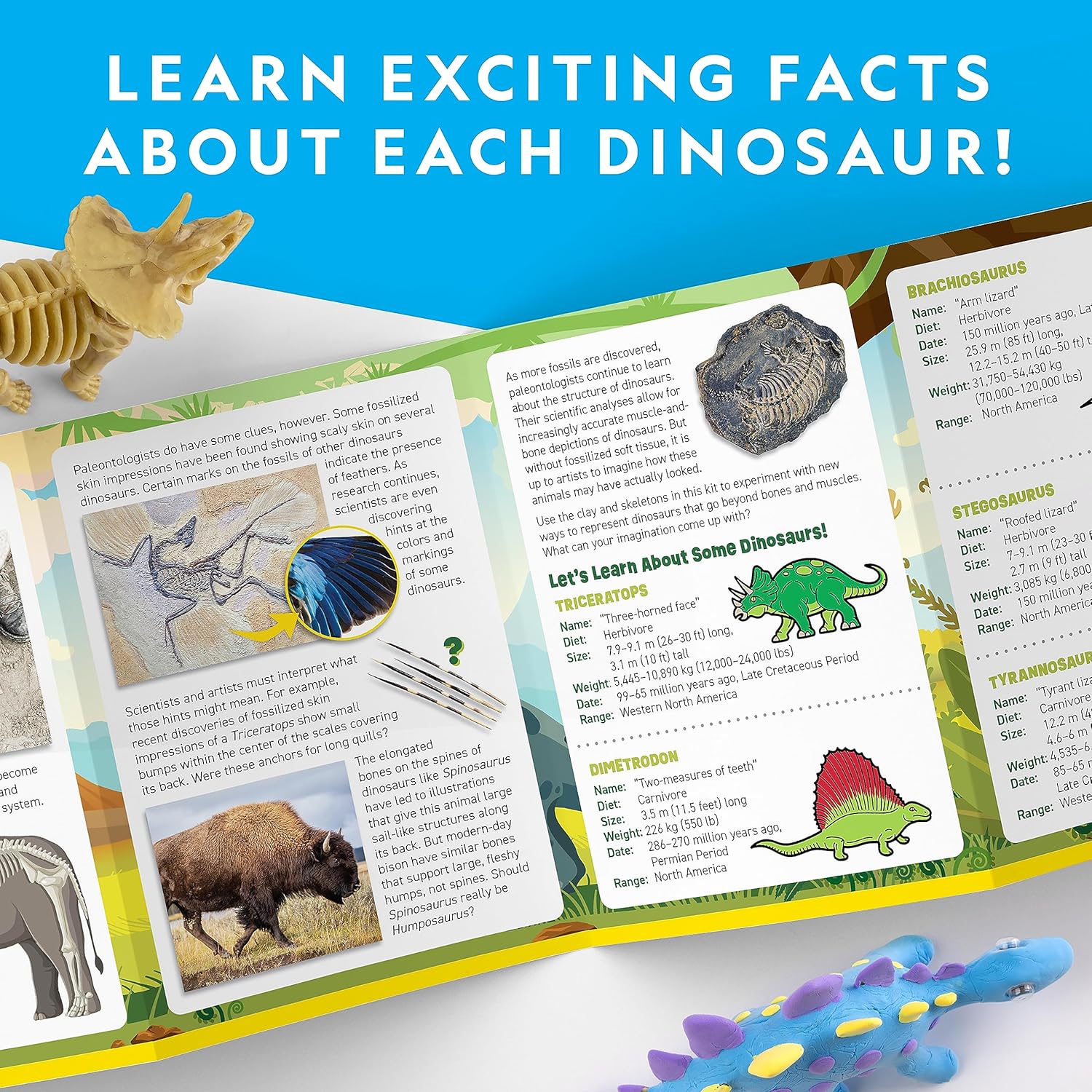 NATIONAL GEOGRAPHIC Clay Dinosaur Arts & Crafts Kit  Arcilla seca al aire de dinosaurio para niños, kit de manualidades con 5 colores de arcilla, 5