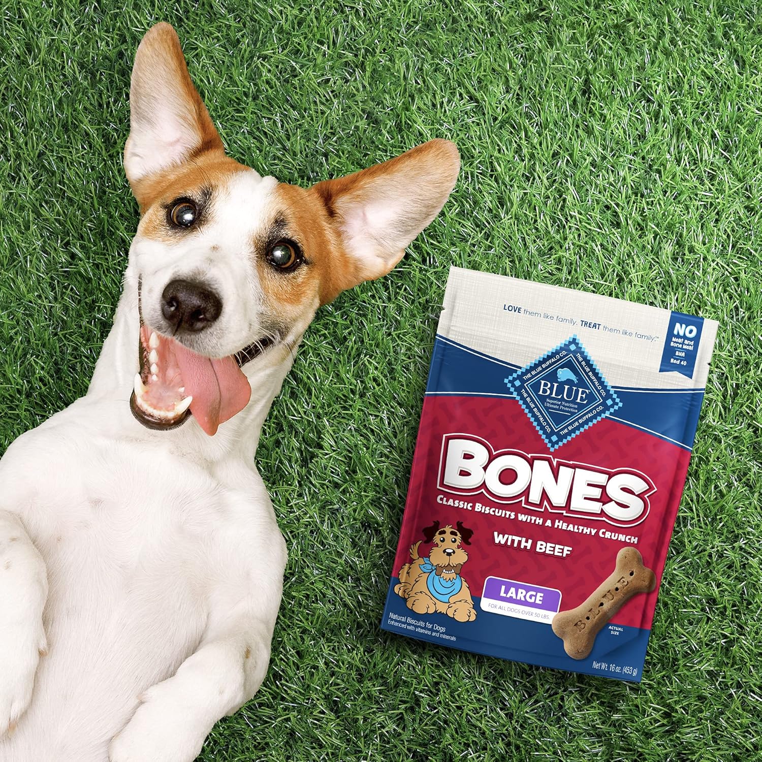 Blue Buffalo Bones – Golosinas naturales crujientes para perros, galletas grandes para perros, carne de res (bolsa de 16 onzas, 4 unidades)