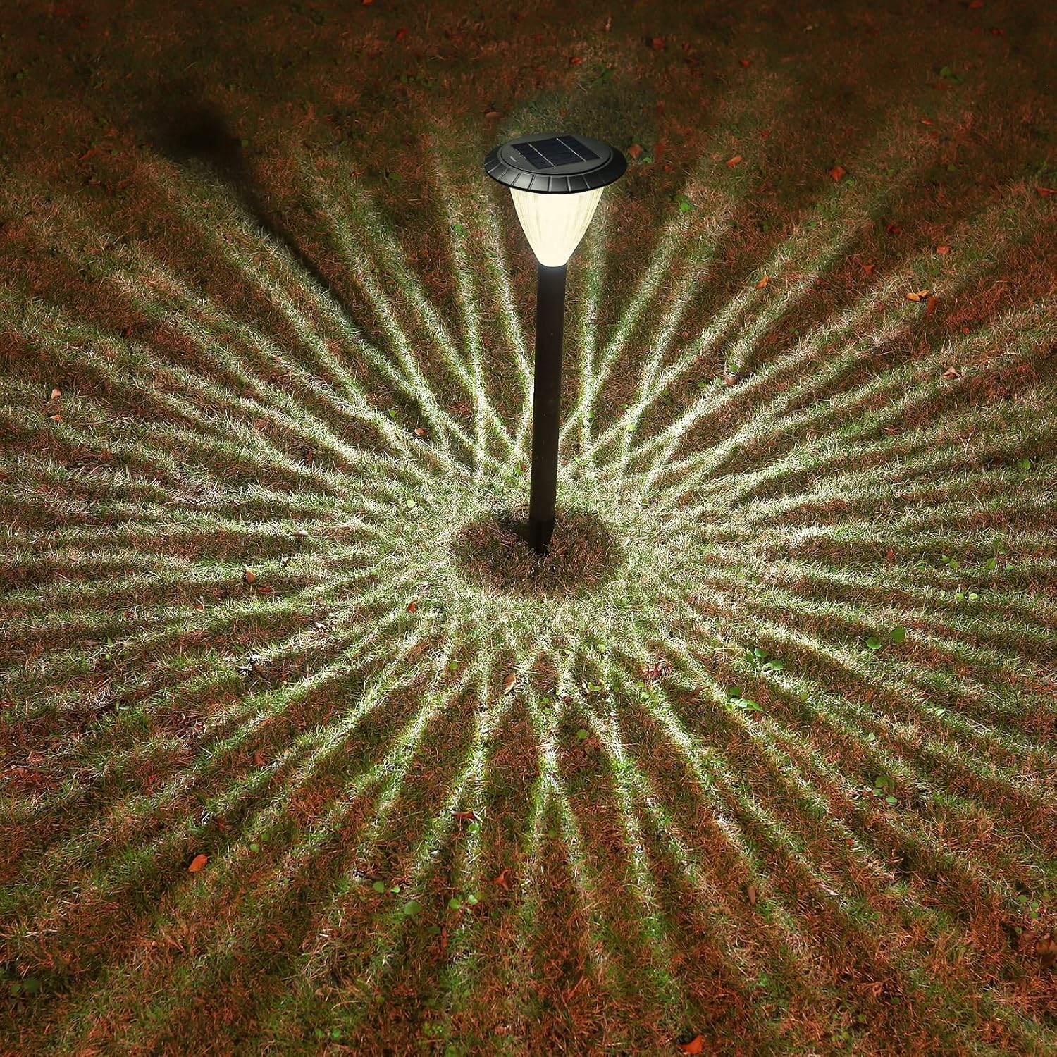 Greenway – Luces solares inteligentes de 50 lúmenes, tecnología inteligente, luz toda la noche, polvo al amanecer, encendido y apagado automático,