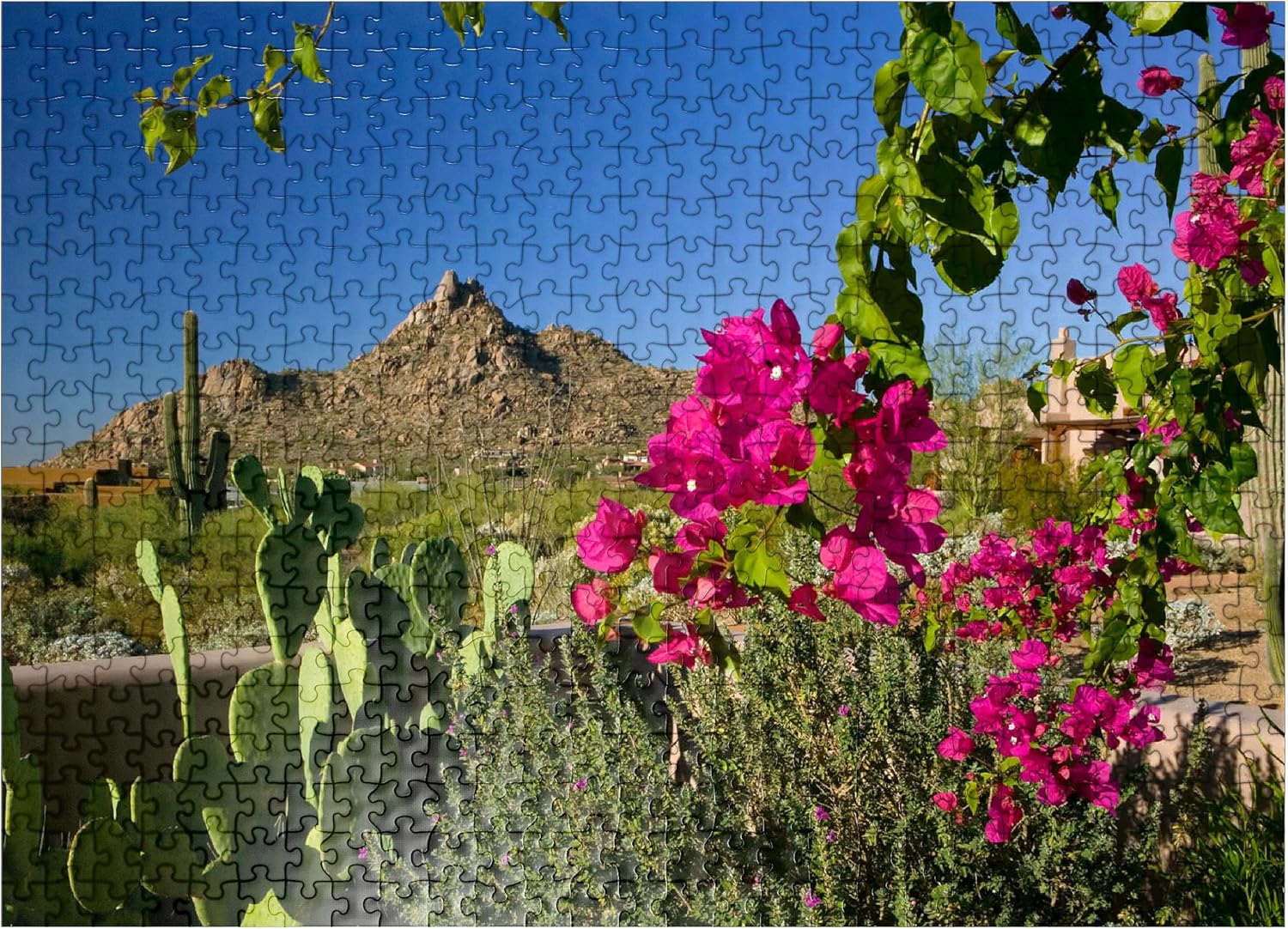 Bougainvillea with Pinnacle Peak, Scottsdale, Arizona, Estados Unidos, rompecabezas prémium de 500 piezas para adultos