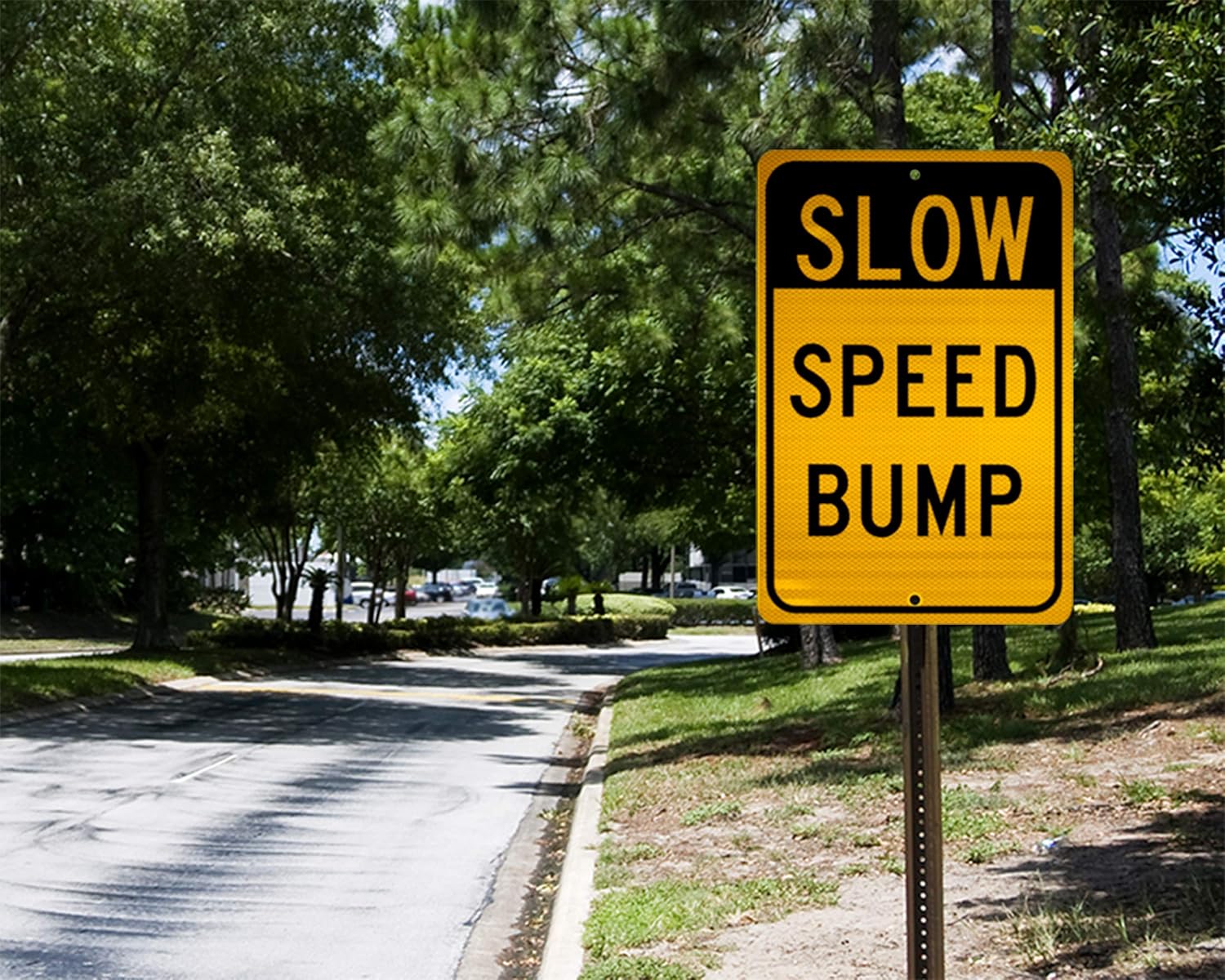 NMC TM157J Señal de tráfico, leyenda “SLOW – SPEED BUMP”, 12 pulgadas de largo x 18 pulgadas de alto, aluminio reflectante prismático de grado