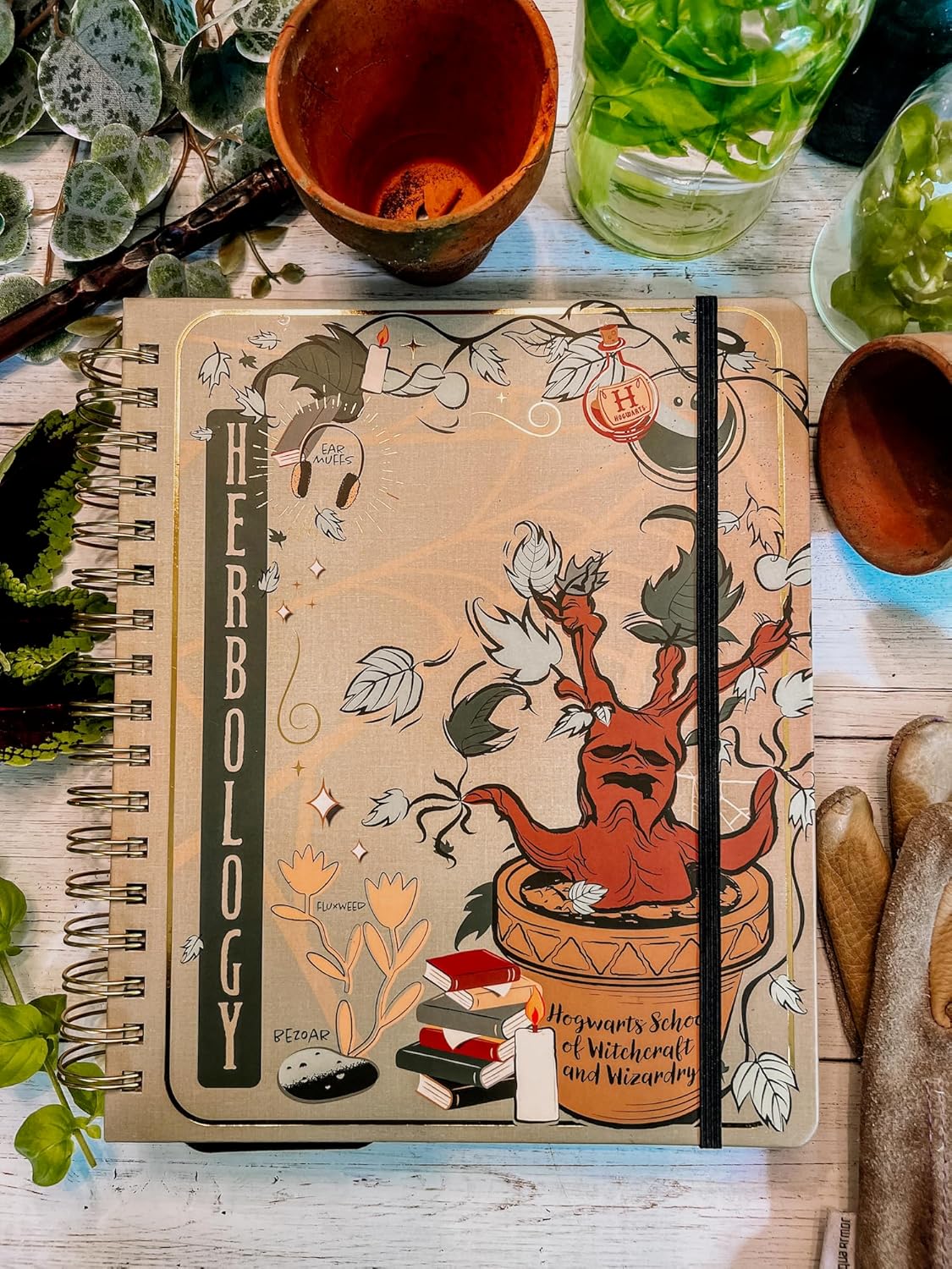 Conquest Journals Harry Potter Herbology – Agenda semanal fechada 2024, formato vertical, cubierta de tablero de libro envuelta, encuadernado en