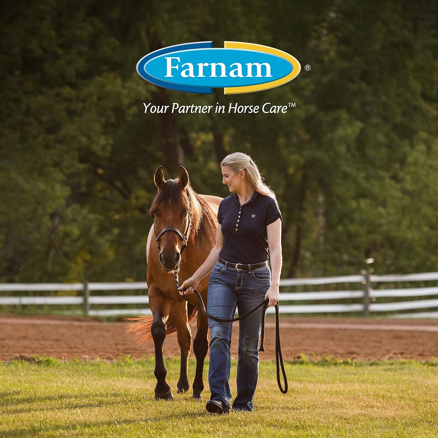 Farnam Leather New Easy Pulishing – Jabón de glicerina y limpiador de sillín de cuero, protege y conserva el cuero, limpia, acondiciona y pule, 32