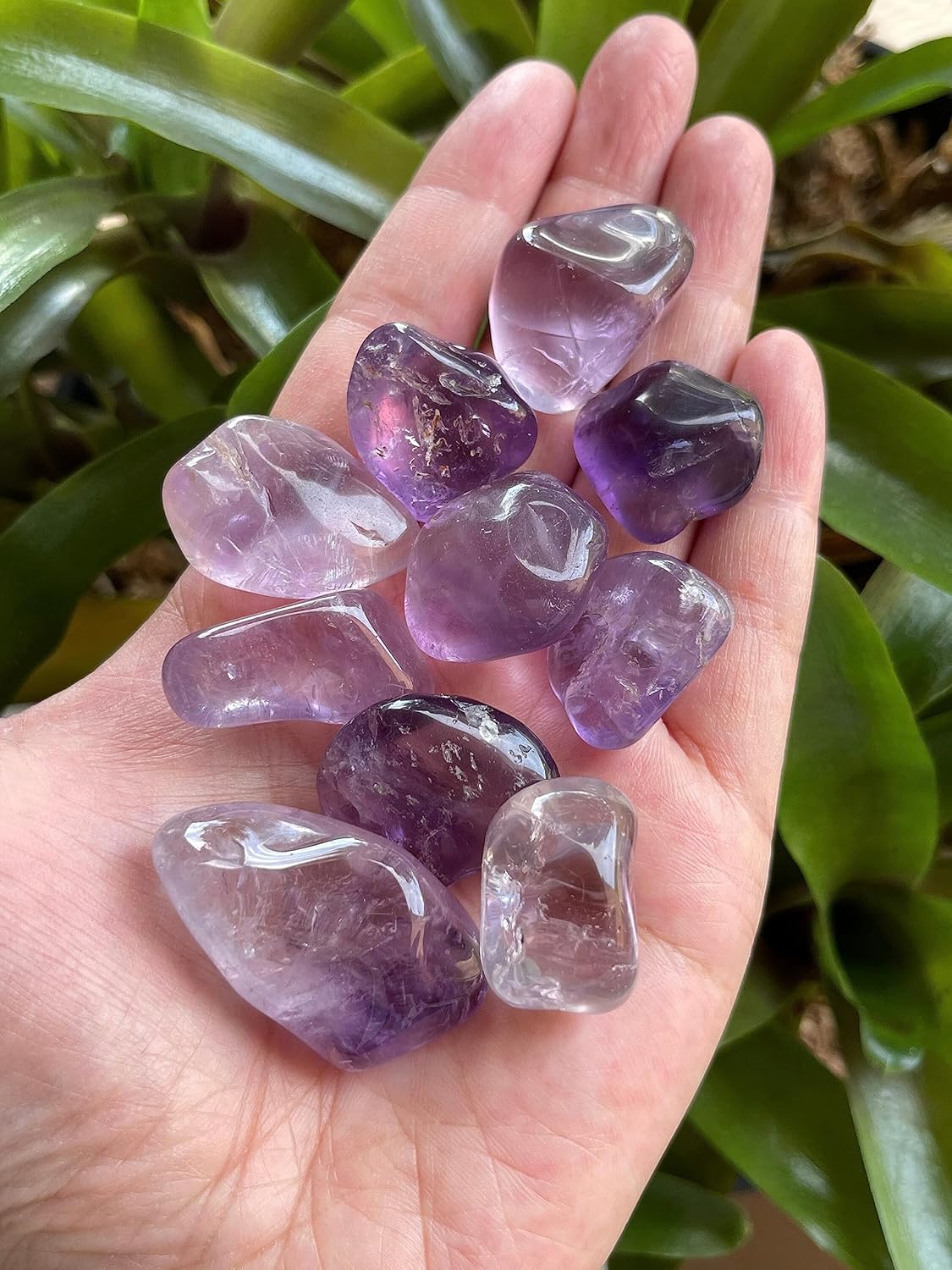 Piedras pulidas de amatista al por mayor, piedras preciosas de amatista natural pulidas, cristales curativos de amatista (amatista, 0.25 libras)