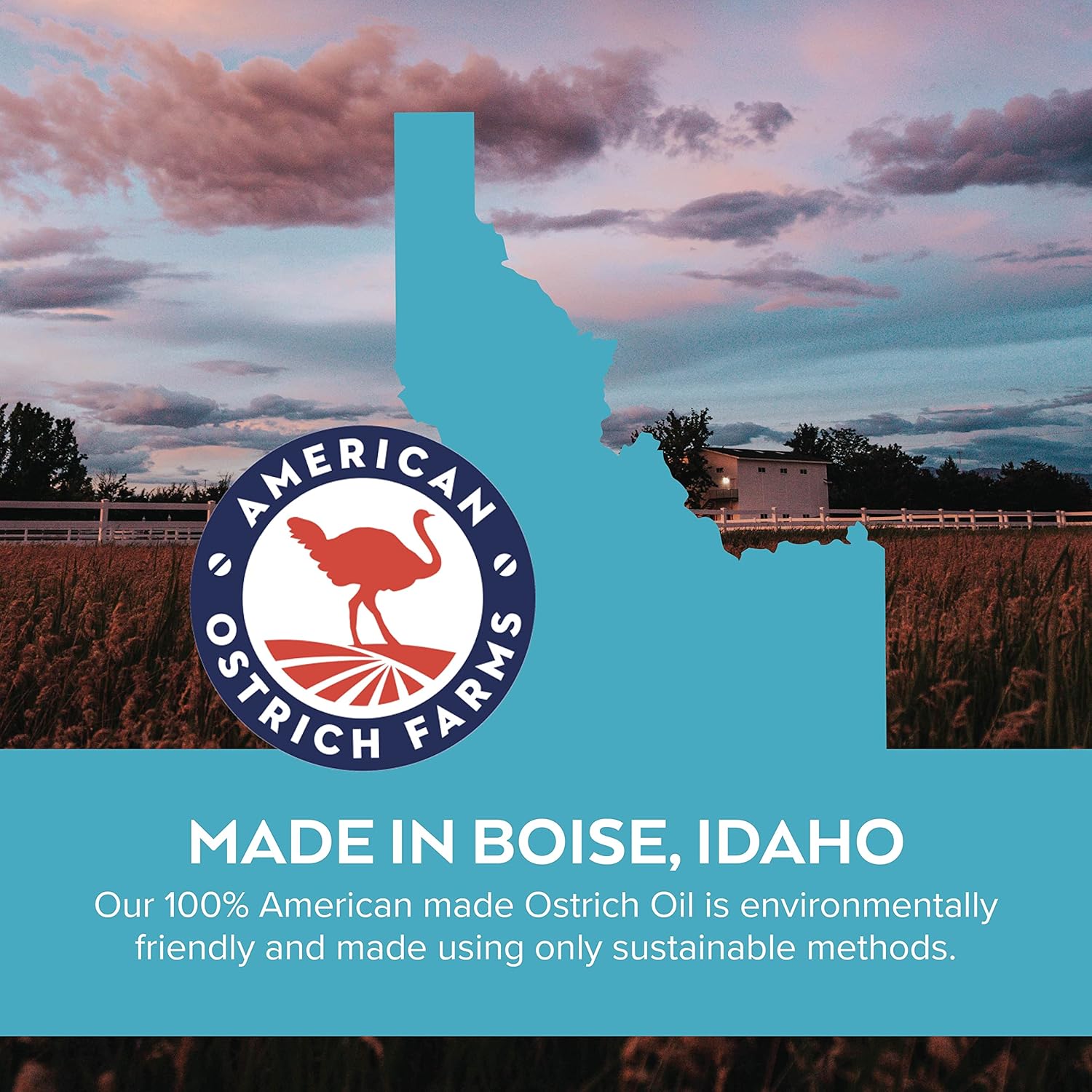 American Ostrich Farms Aceite de avestruz 100% puro, fabricado en Estados Unidos, hidratante natural para la piel rica en omega, botella de 8 onzas,