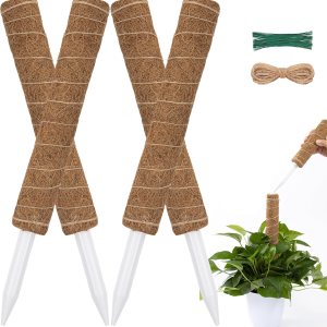 Poste de musgo de 63 pulgadas para plantas Monstera, paquete de 4 postes de musgo de 19.9 pulgadas para plantas trepadoras, estacas para plantas de Poste de musgo de 63 pulgadas para plantas Monstera, paquete de 4 postes de musgo de 19.9 pulgadas para plantas trepadoras, estacas para plantas de