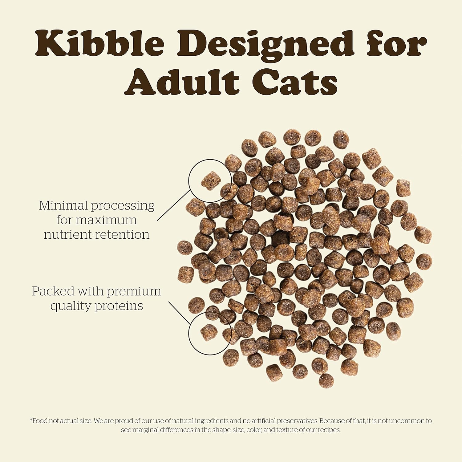 Now Fresh Alimento para gatos sin granos, 3 libras, receta de comida seca para gatos adultos con carne real y pescado para proteínas