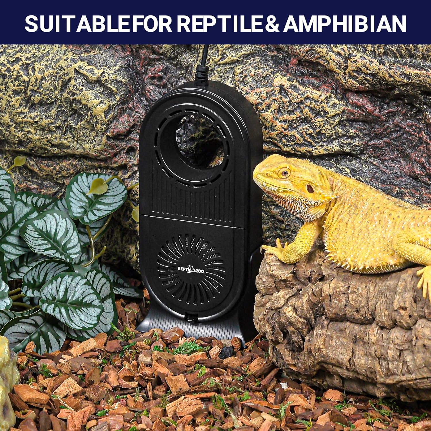 REPTI ZOO Purificador de aire de terrario de vidrio para reptiles, filtro de carbono, deshumidificador de reptiles, con sincronización para dragón