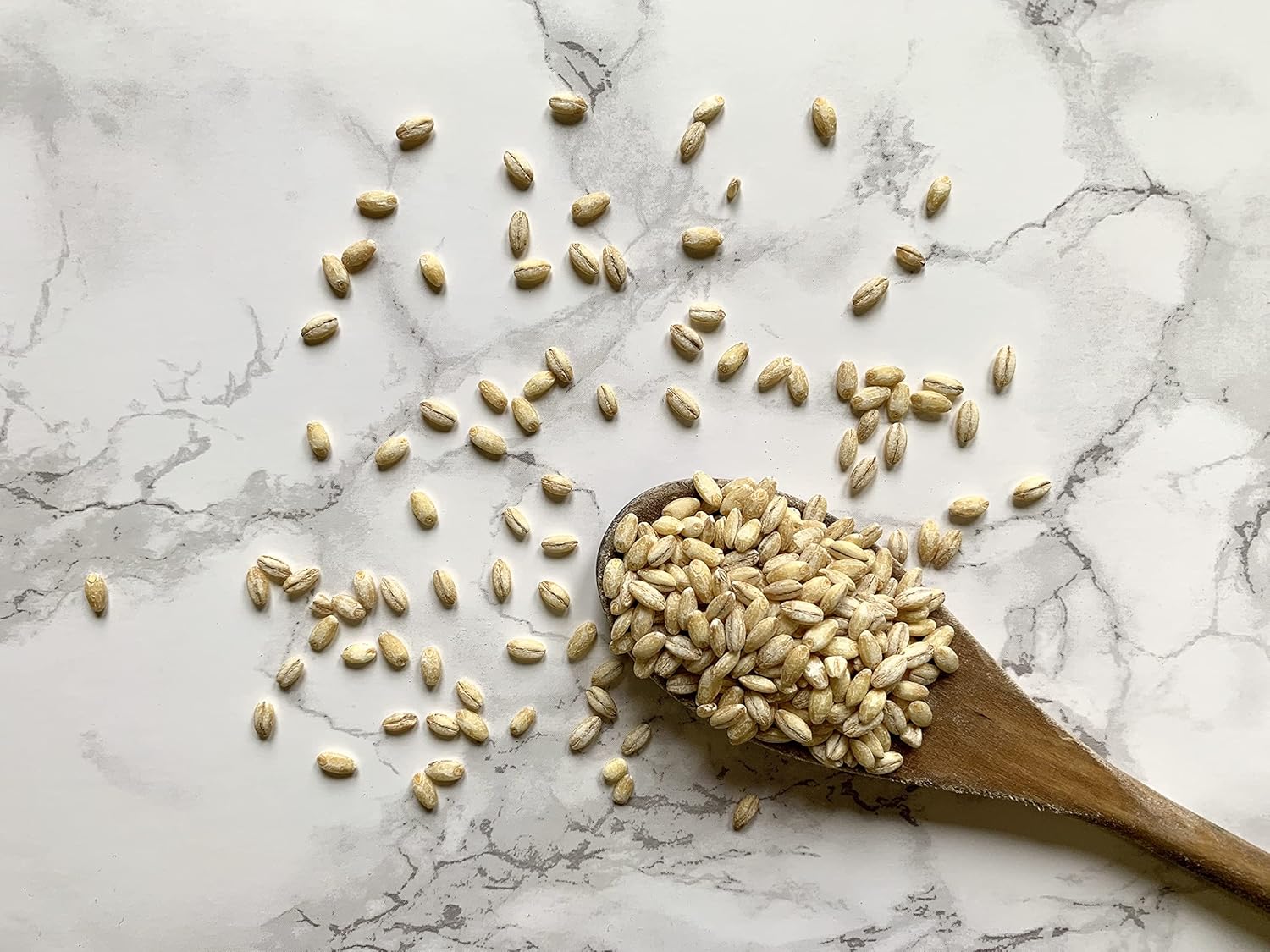 Orzo de cebada orgánica – Granja familiar Bio Alberti, Poggio Aquilone, Umbría – 1.1 libras
