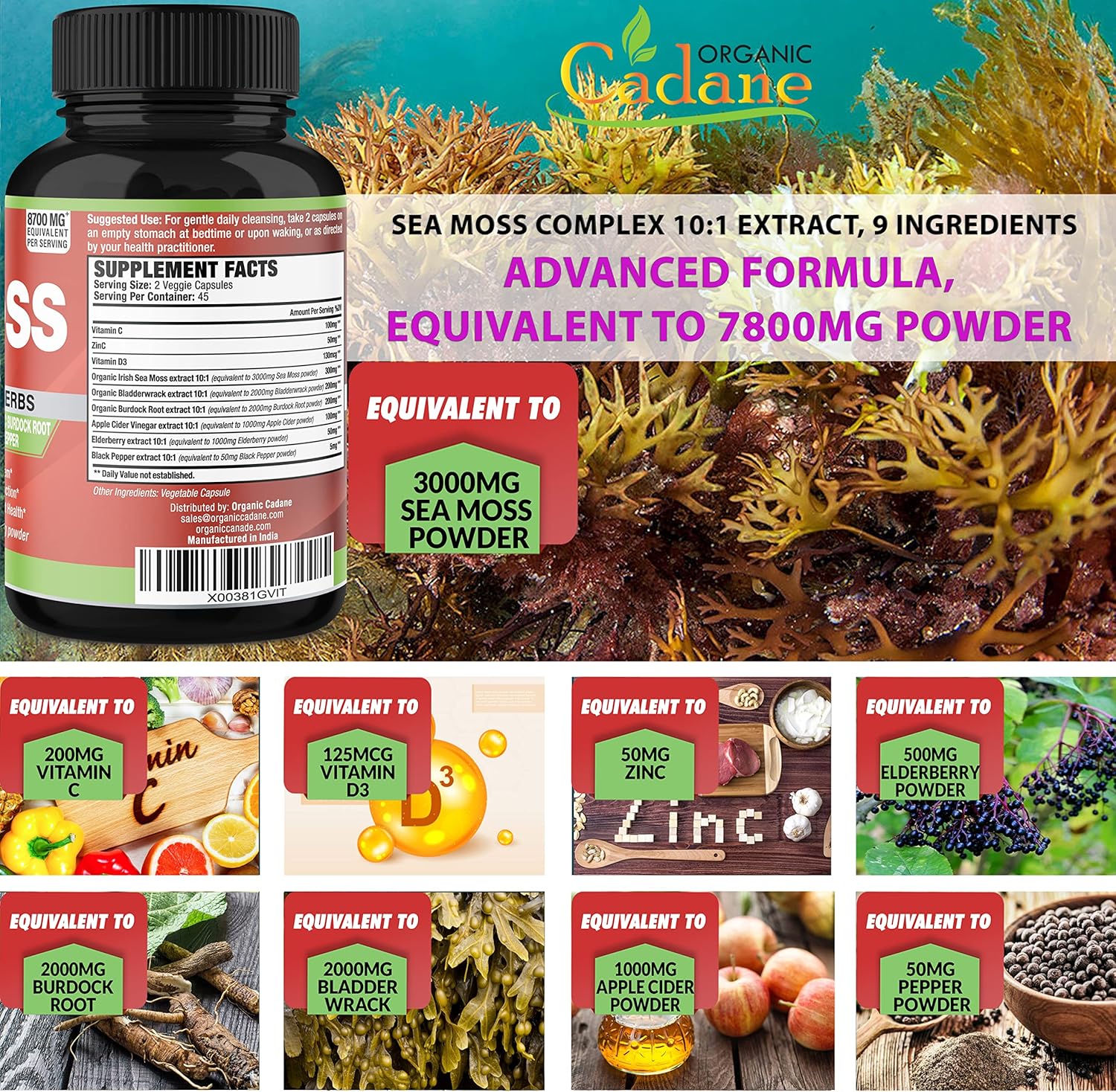 Cápsulas de extracto de musgo marino irlandés orgánico 8700mg – Apoya el sistema inmunológico y la salud general – 90Cápsulas